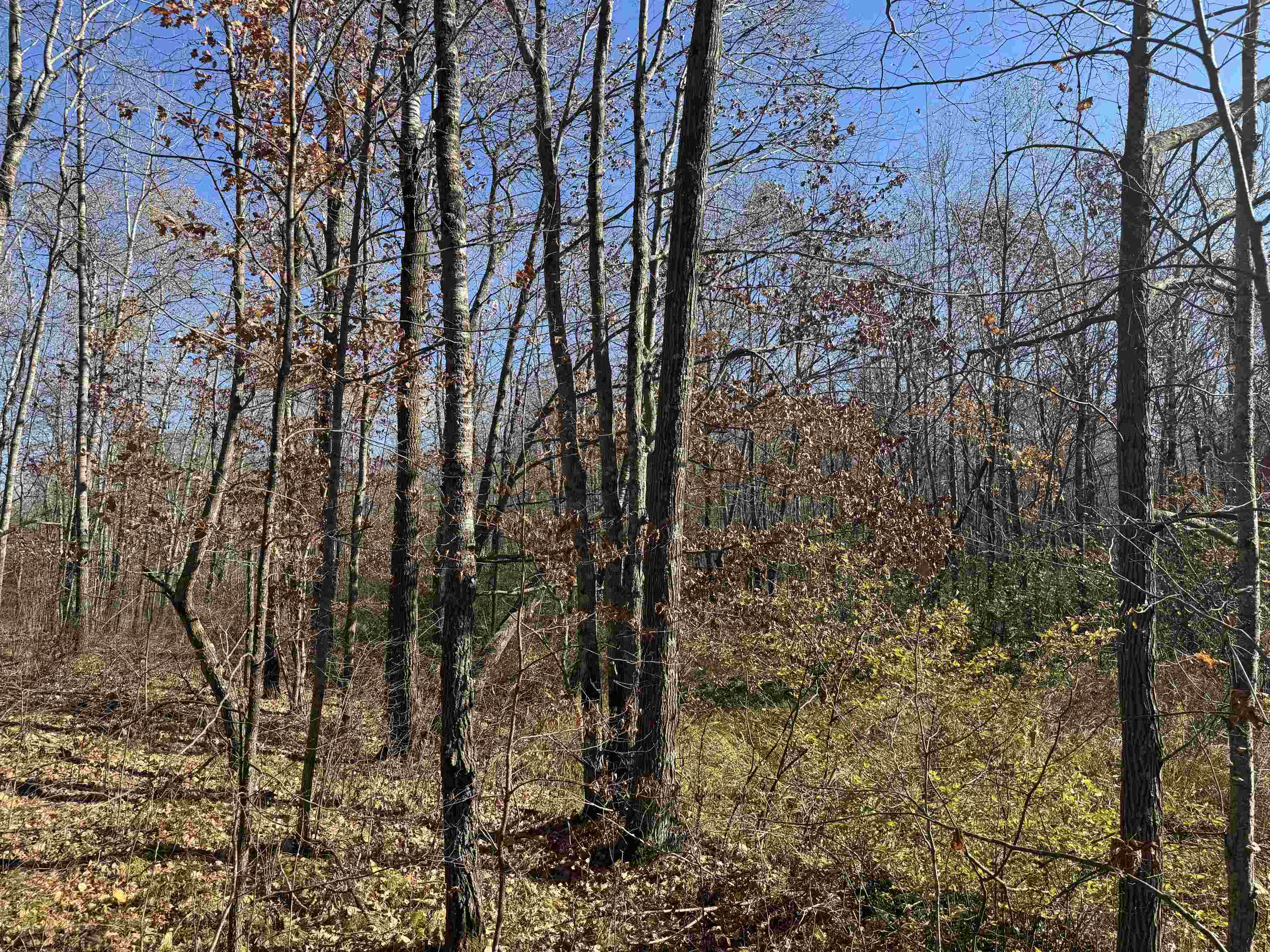 TBD Grace Lake Rd Sandstone MN 55072 6122546 image7