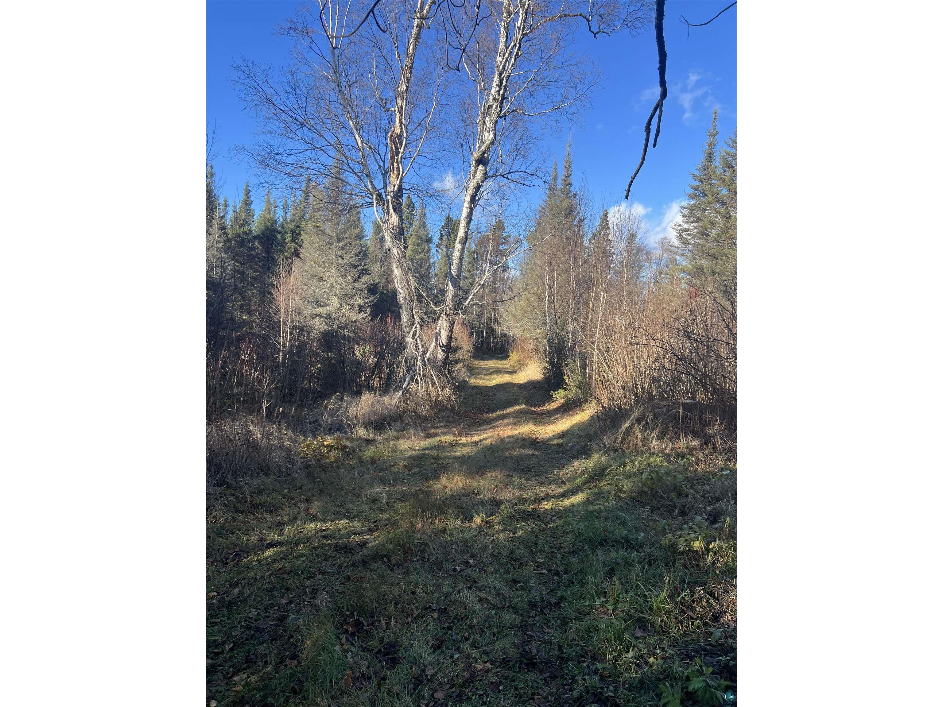 TBD Heffelfinger Tr Finland MN 55603 - Beaver Lake 6125226 image11
