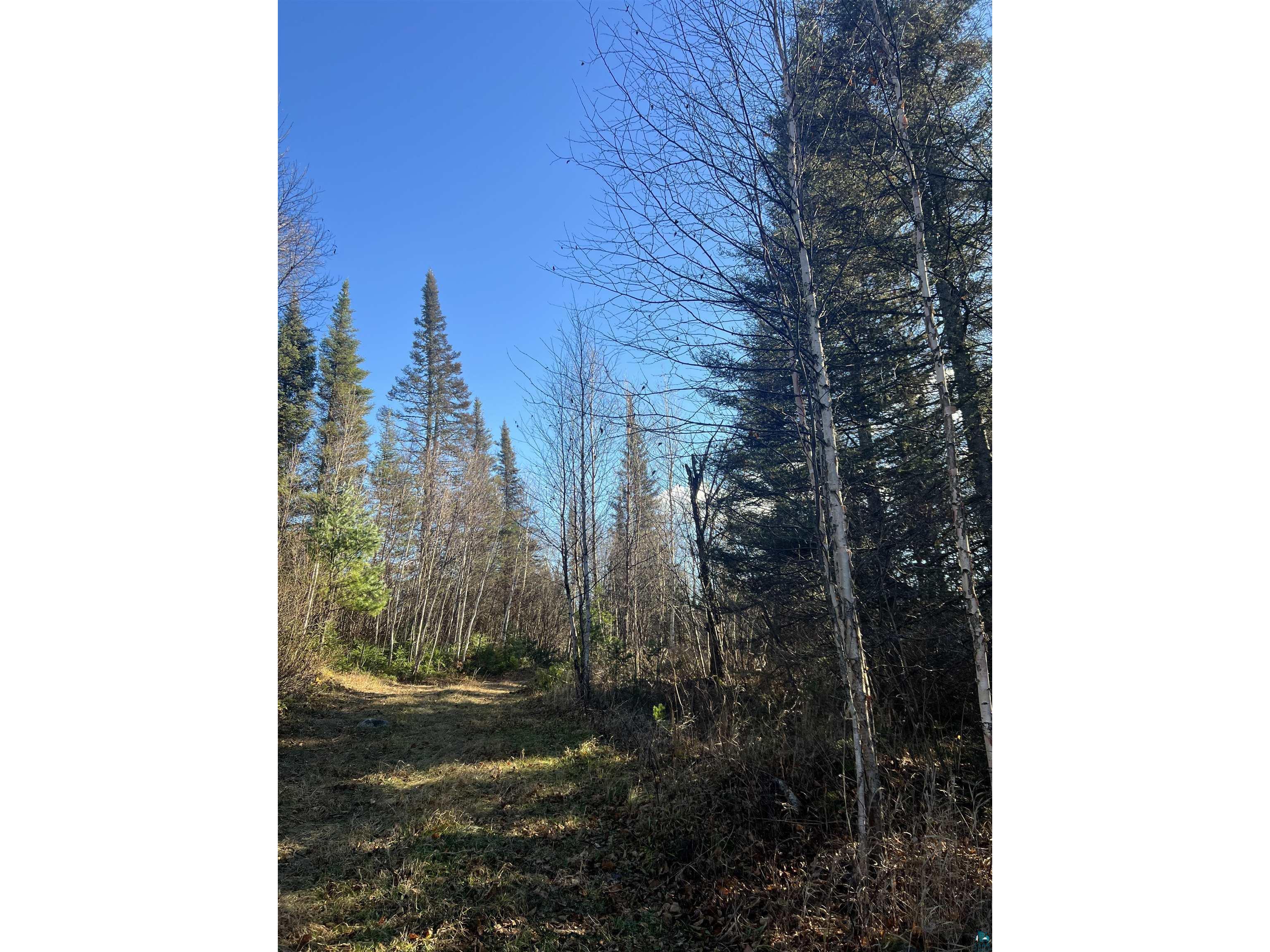 TBD Heffelfinger Tr Finland MN 55603 - Beaver Lake 6125226 image12