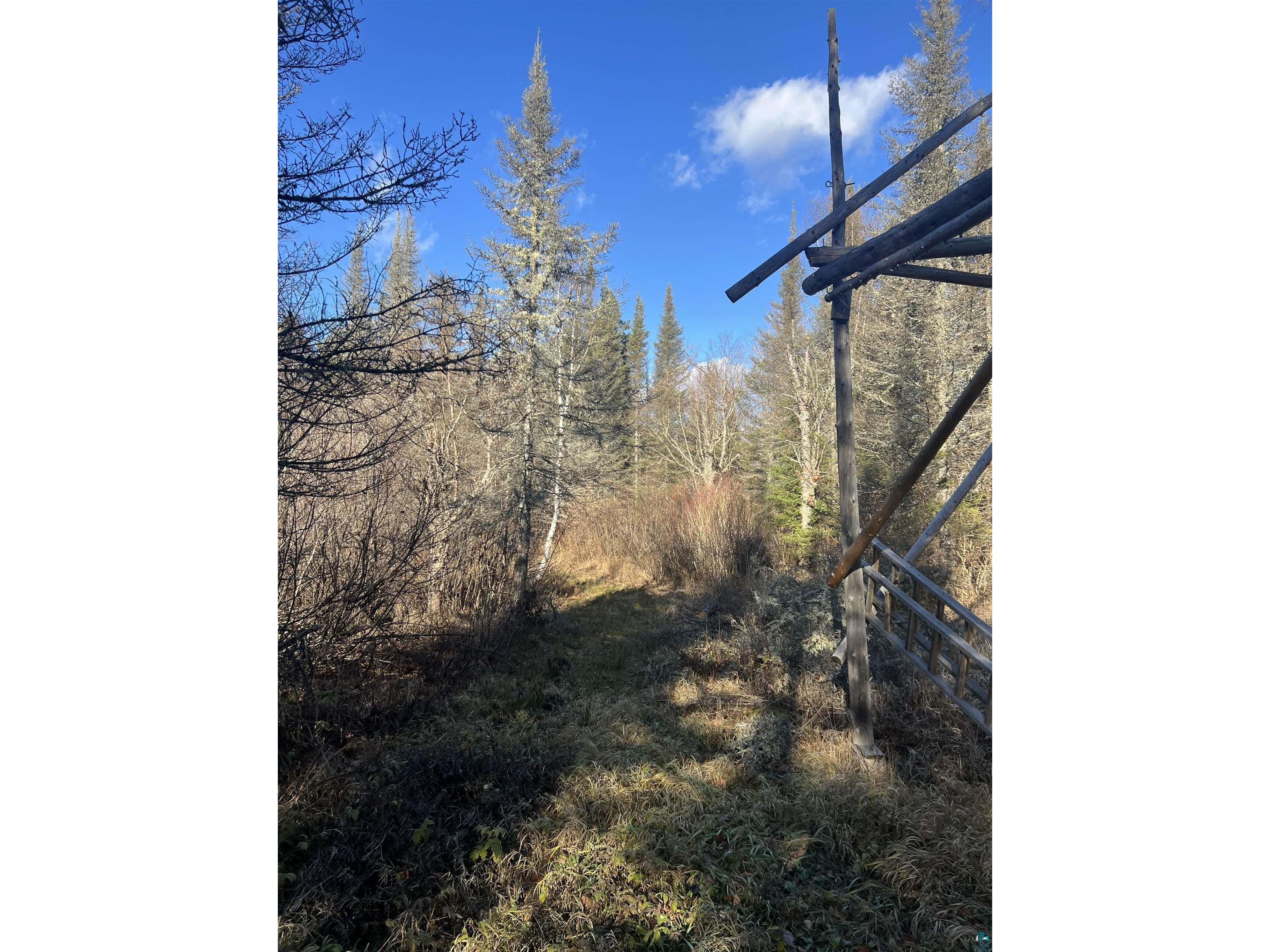 TBD Heffelfinger Tr Finland MN 55603 - Beaver Lake 6125226 image13