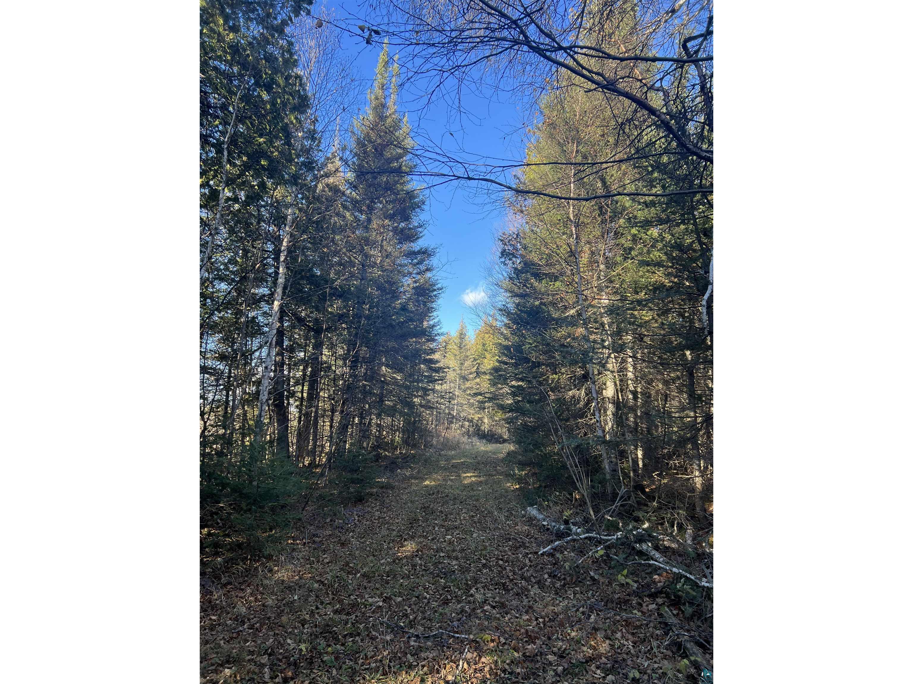 TBD Heffelfinger Tr Finland MN 55603 - Beaver Lake 6125226 image19