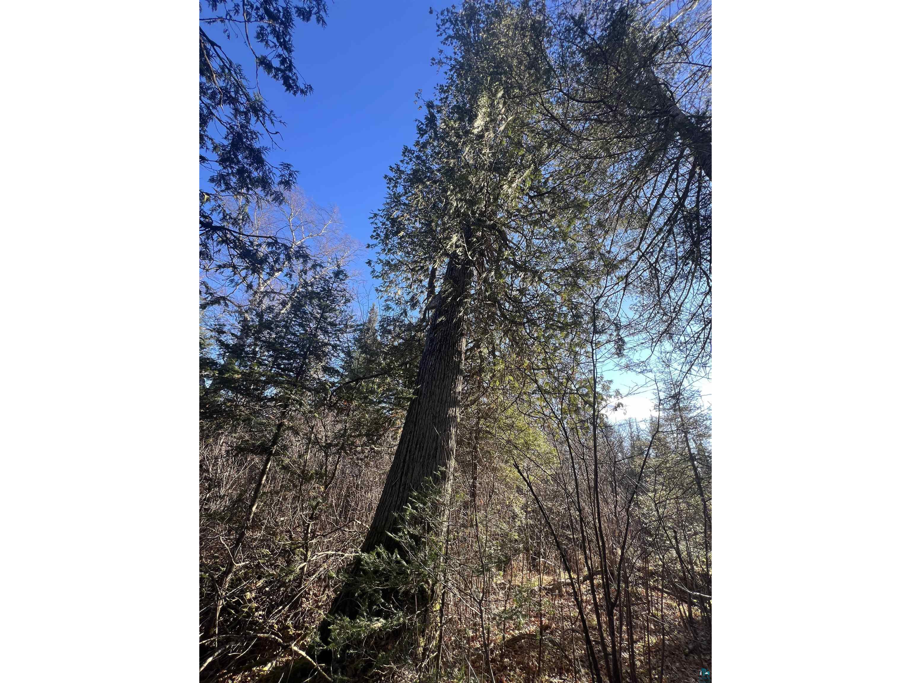 TBD Heffelfinger Tr Finland MN 55603 - Beaver Lake 6125226 image20