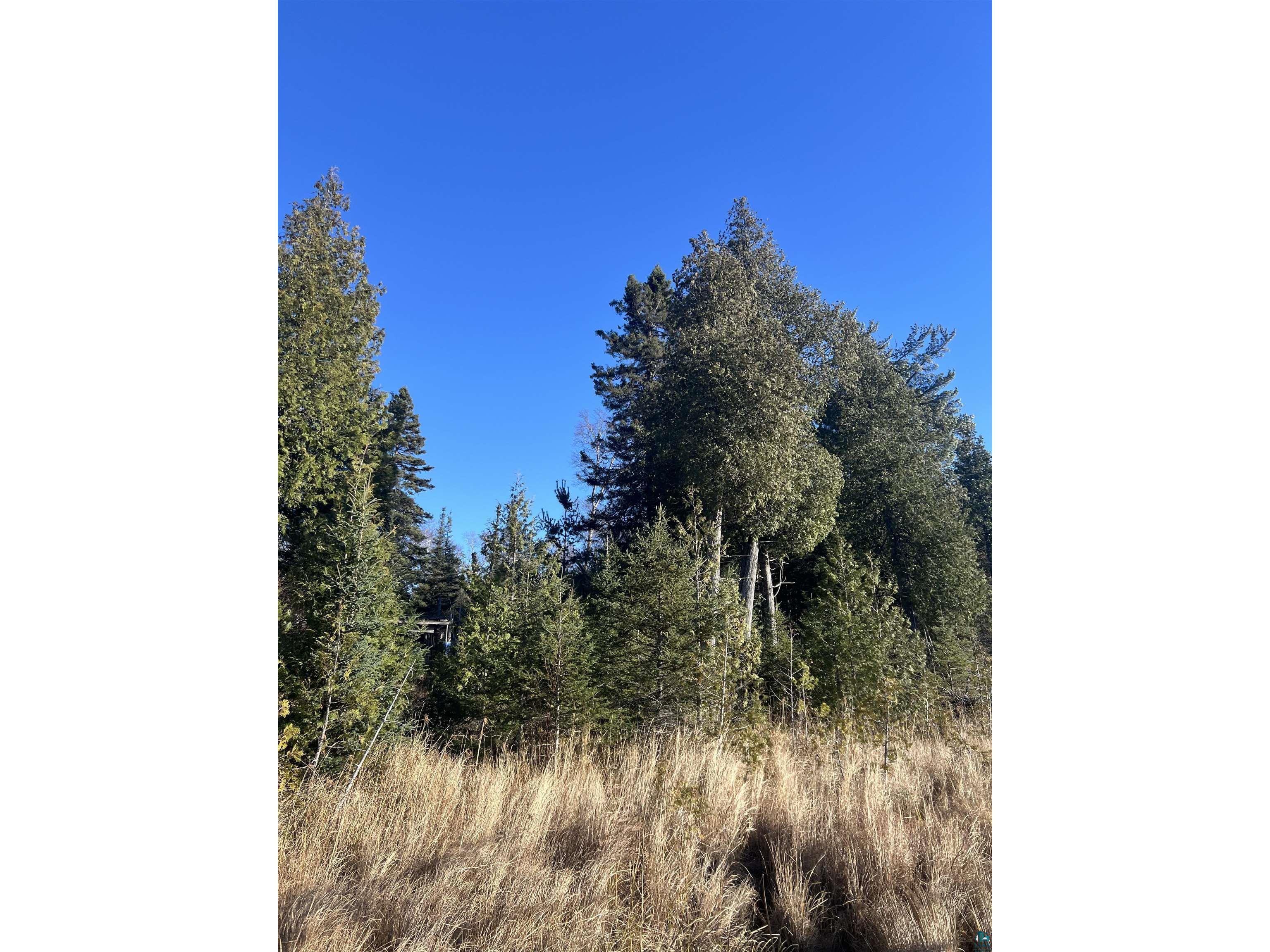 TBD Heffelfinger Tr Finland MN 55603 - Beaver Lake 6125226 image24