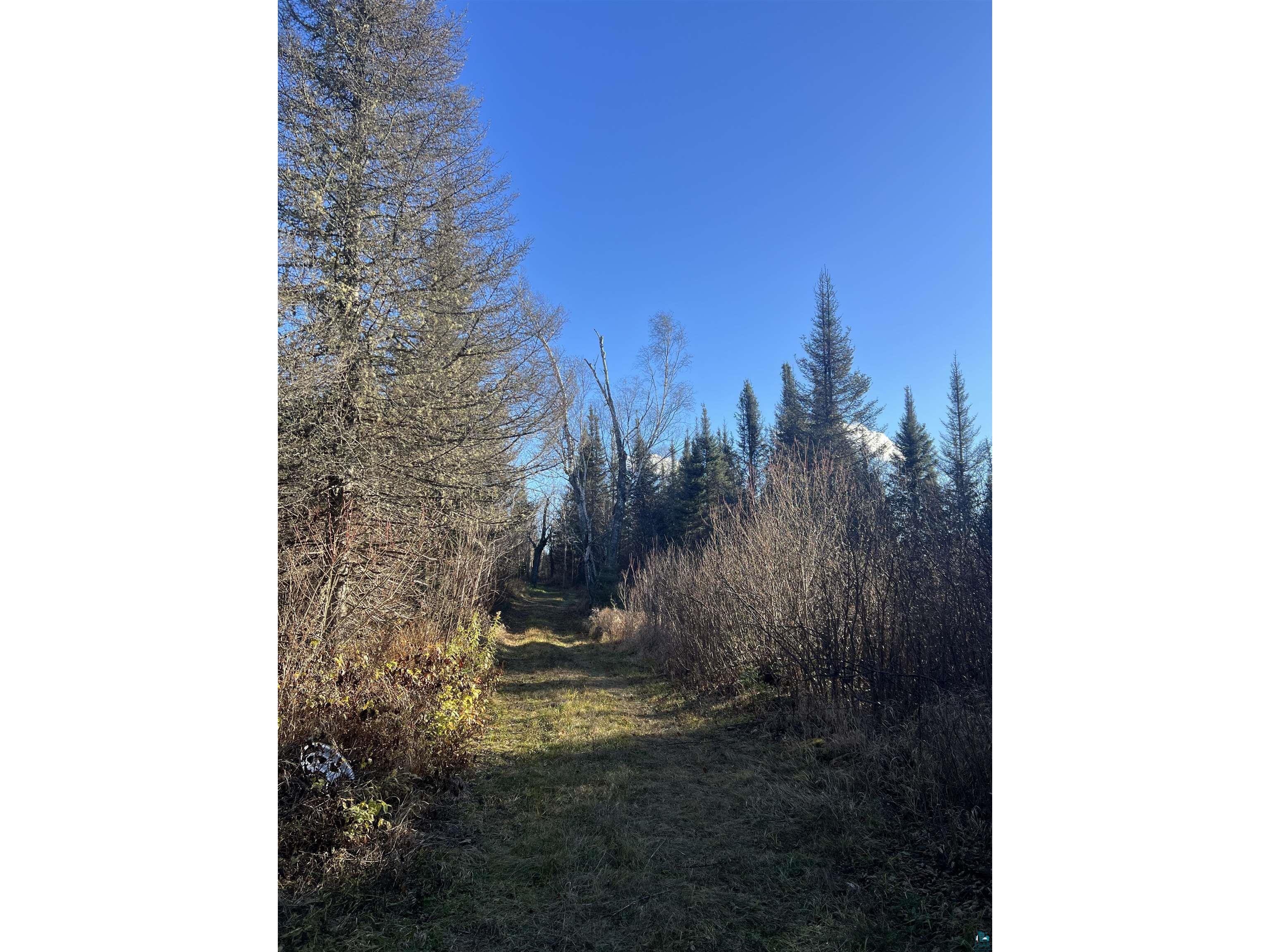 TBD Heffelfinger Tr Finland MN 55603 - Beaver Lake 6125226 image25