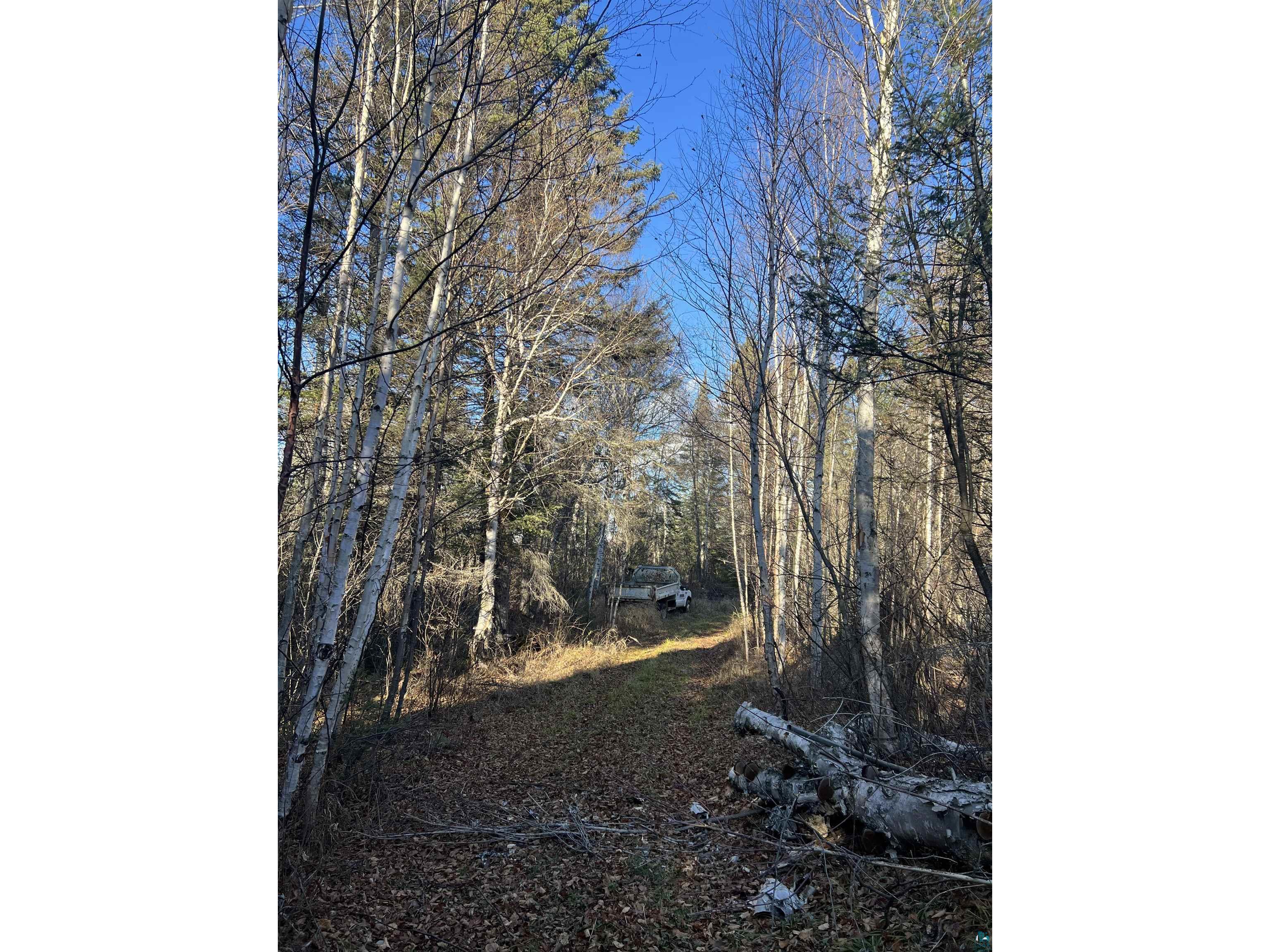 TBD Heffelfinger Tr Finland MN 55603 - Beaver Lake 6125226 image26
