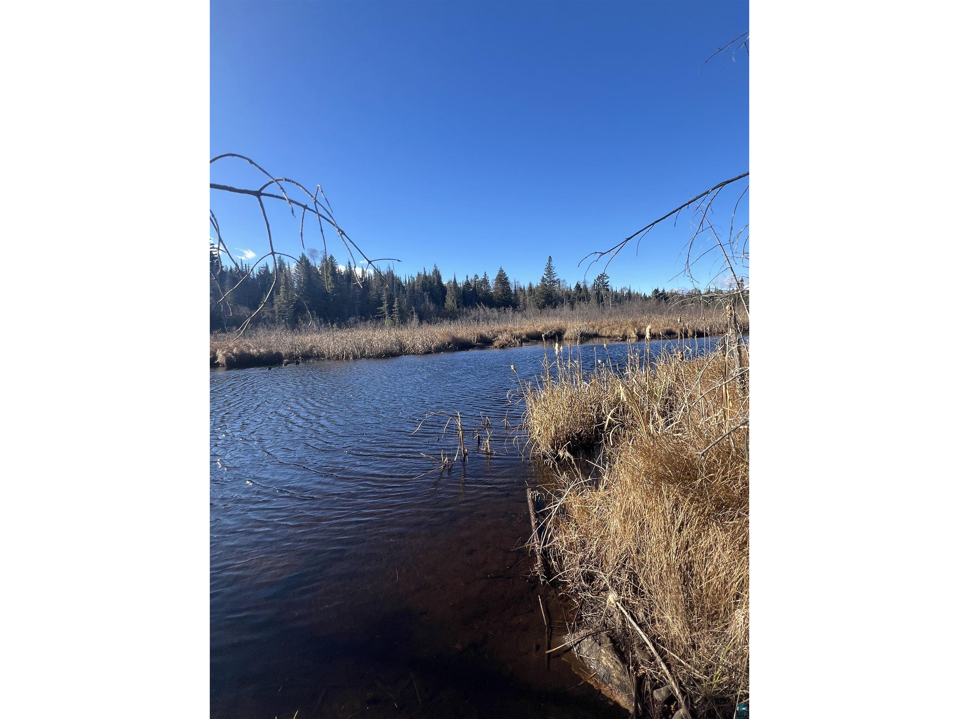 TBD Heffelfinger Tr Finland MN 55603 - Beaver Lake 6125226 image3
