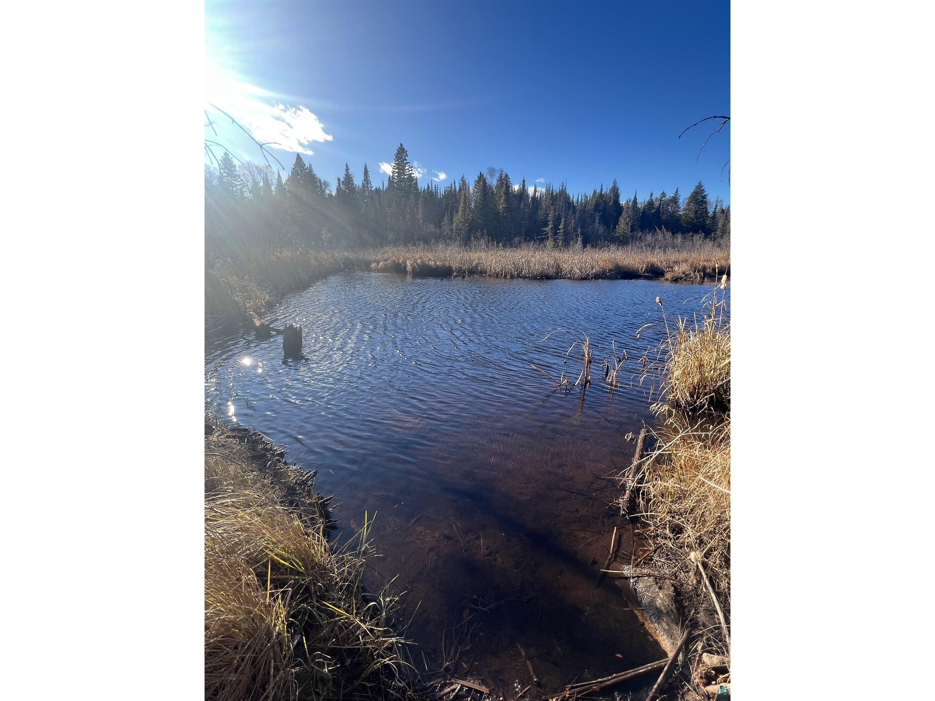 TBD Heffelfinger Tr Finland MN 55603 - Beaver Lake 6125226 image6