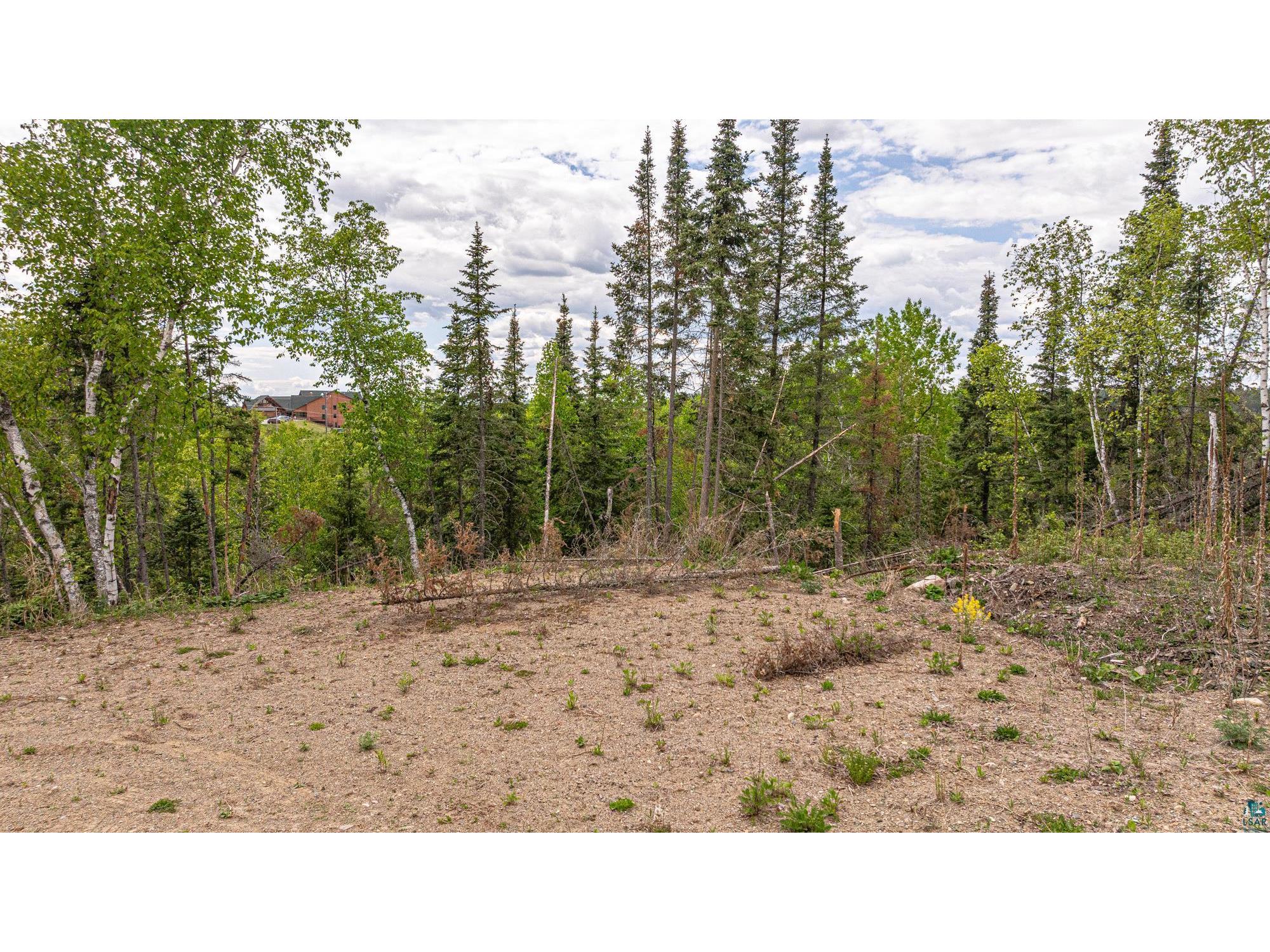 TBD Hill Top Dr Ely MN 55731 6118479 image10