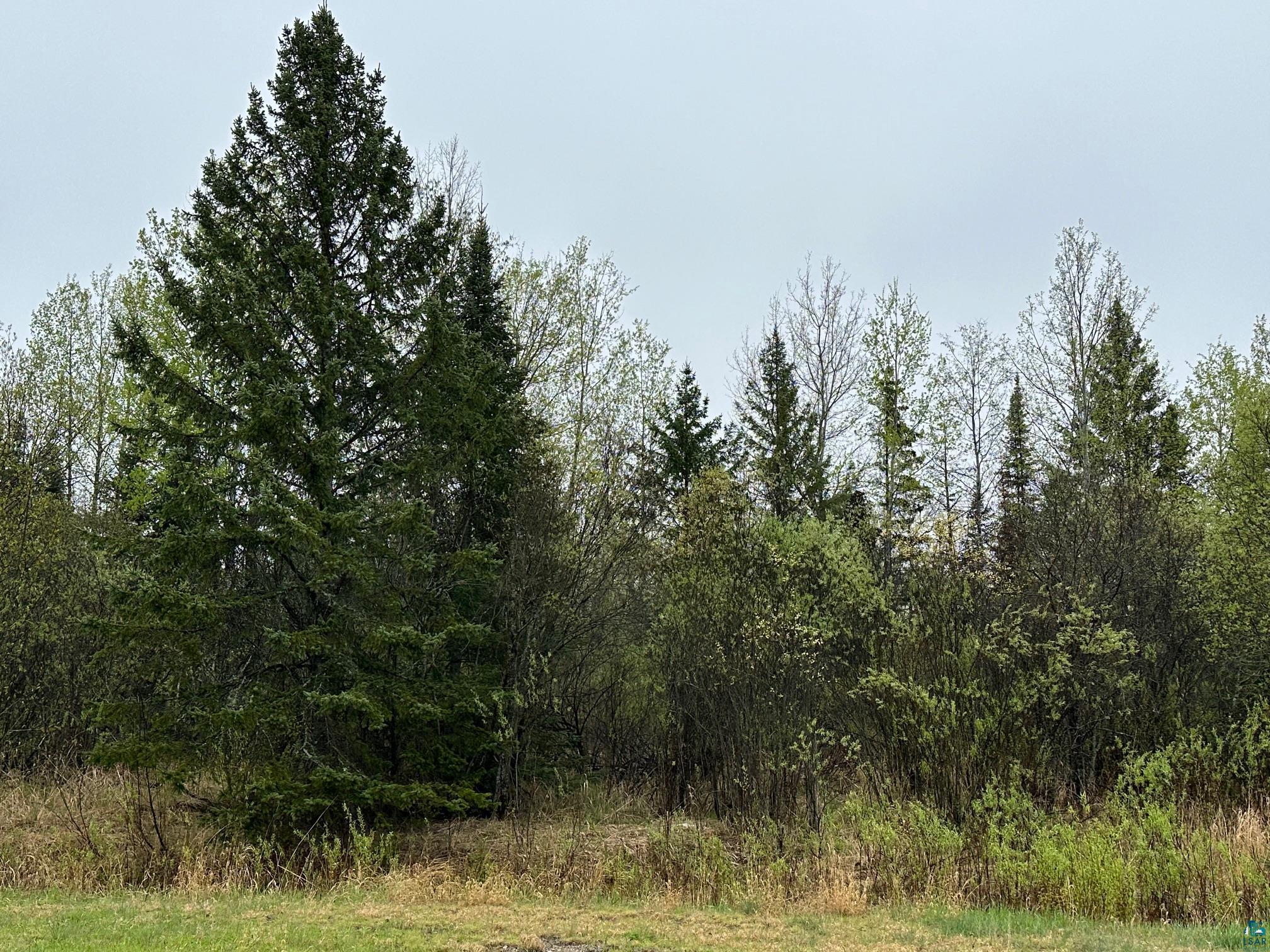 TBD Holland Dr Aurora MN 55705 6113771 image1