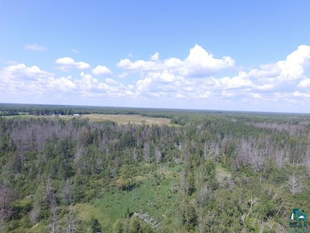 TBD Hwy 133 Meadowlands MN 55765 6106605 image1