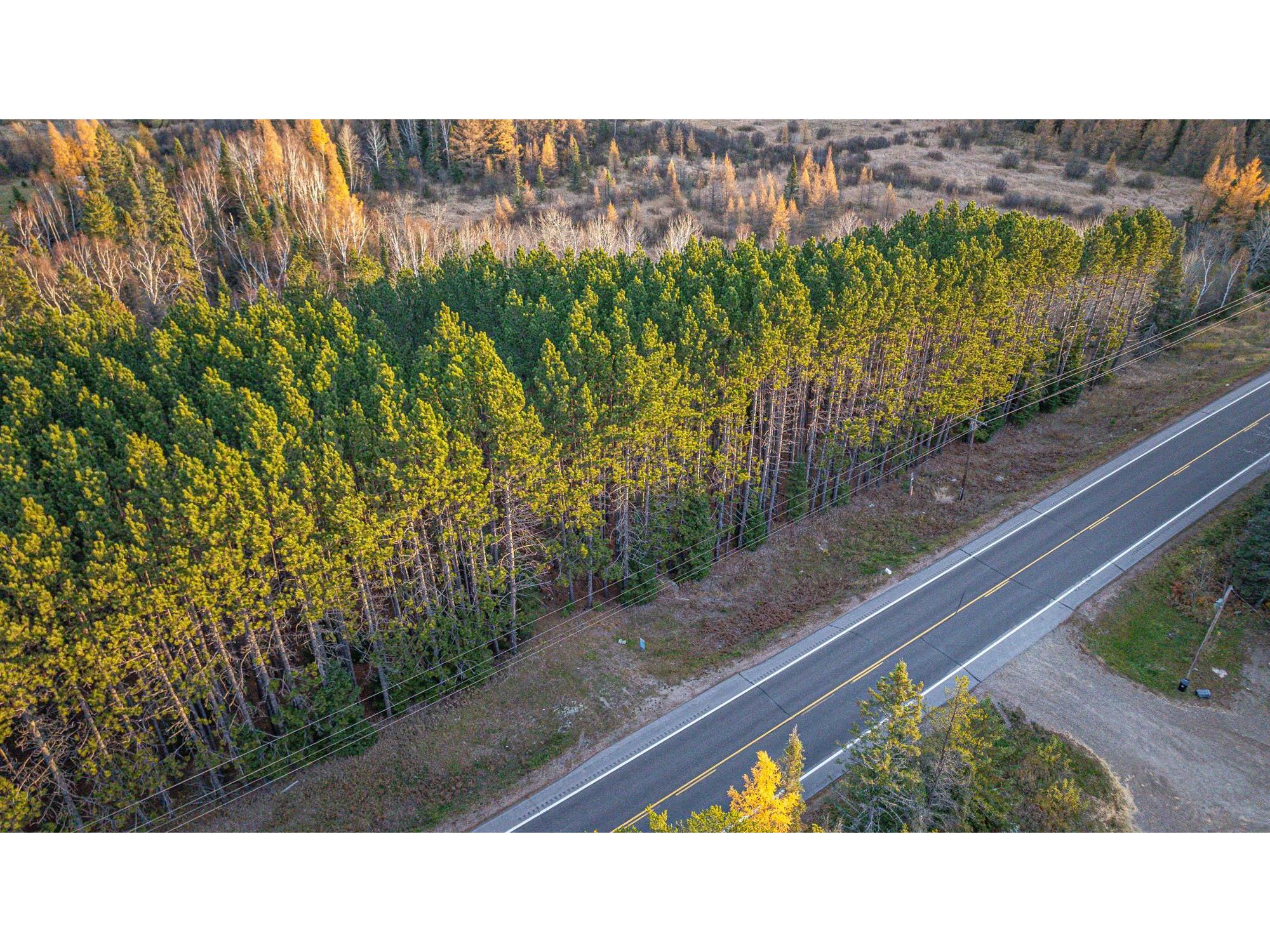 TBD Hwy 21 Babbitt MN 55706 6120690 image19