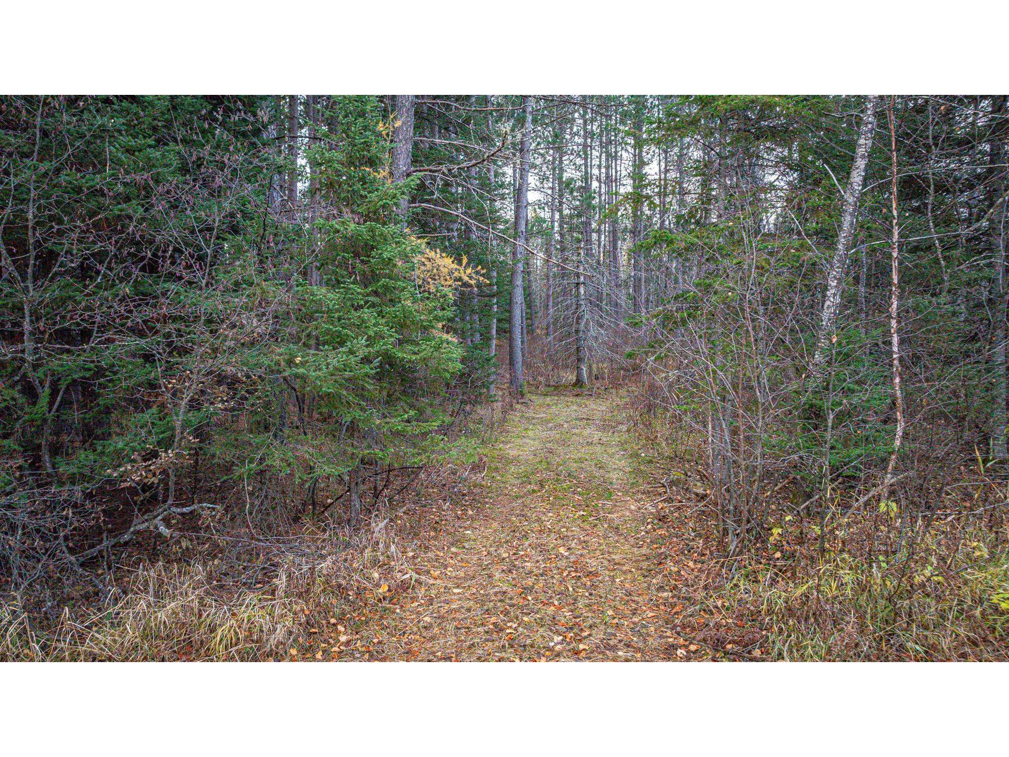 TBD Hwy 21 Babbitt MN 55706 6120690 image20