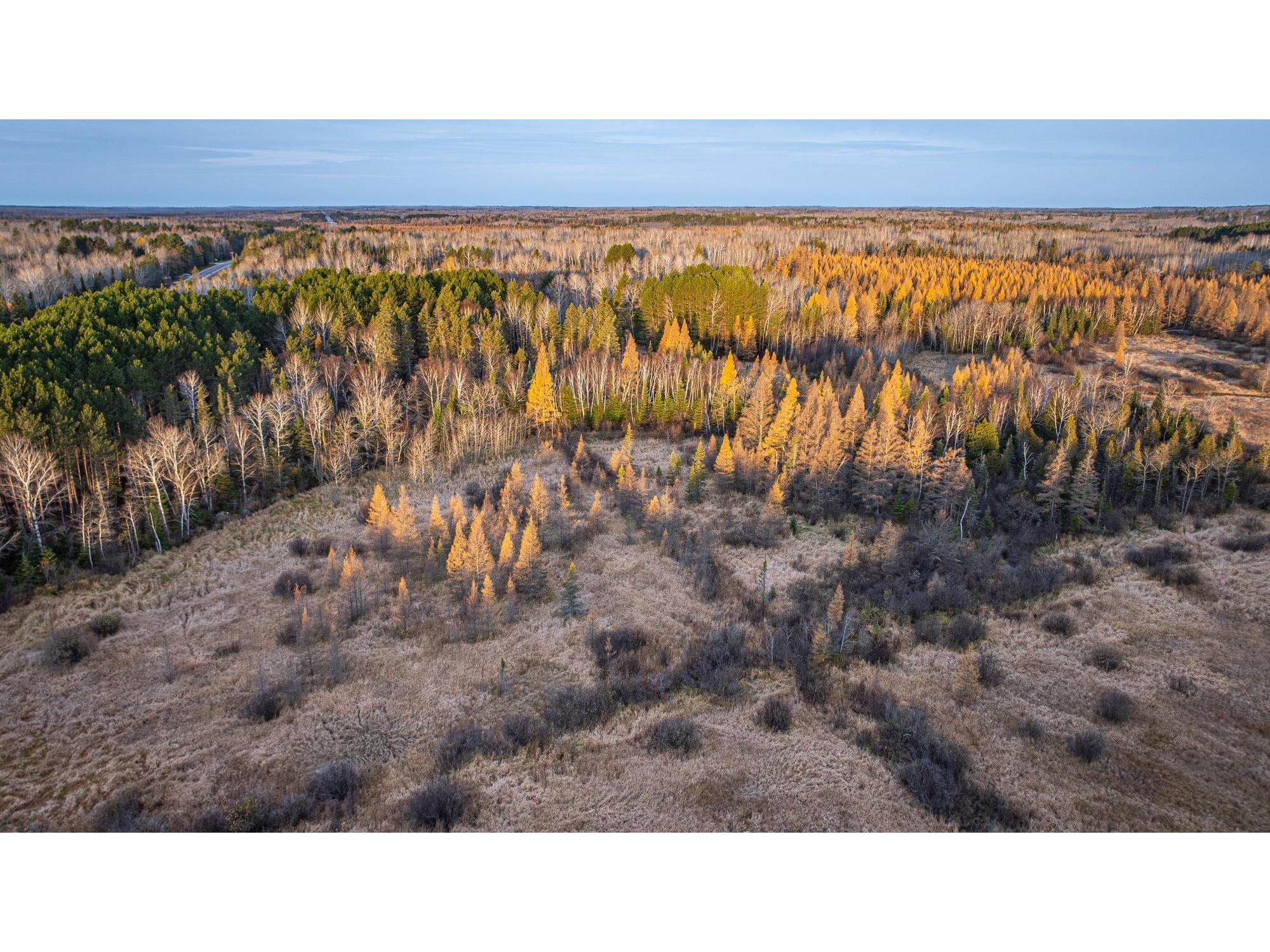 TBD Hwy 21 Babbitt MN 55706 6120690 image28