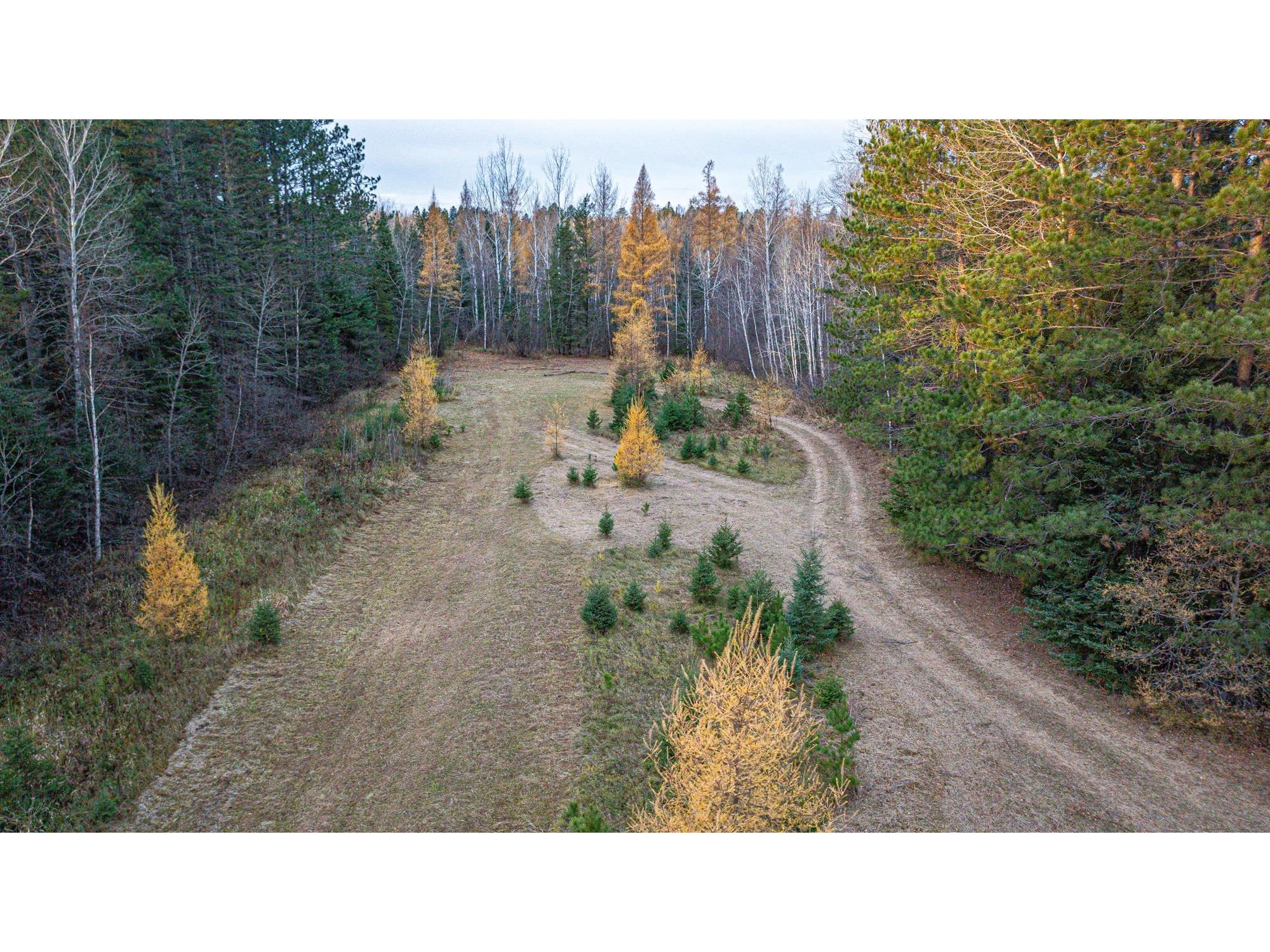 TBD Hwy 21 Babbitt MN 55706 6120690 image31