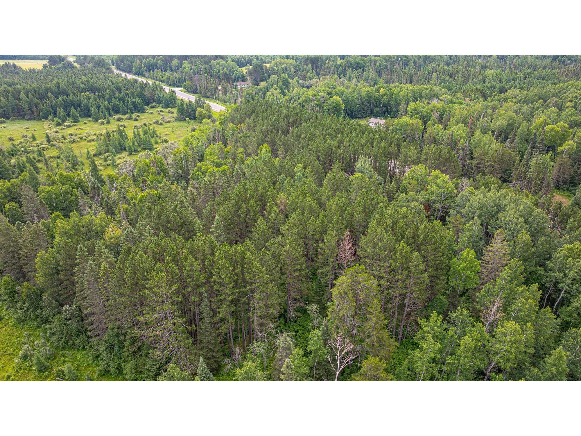 TBD Hwy 21 Babbitt MN 55706 6120690 image41