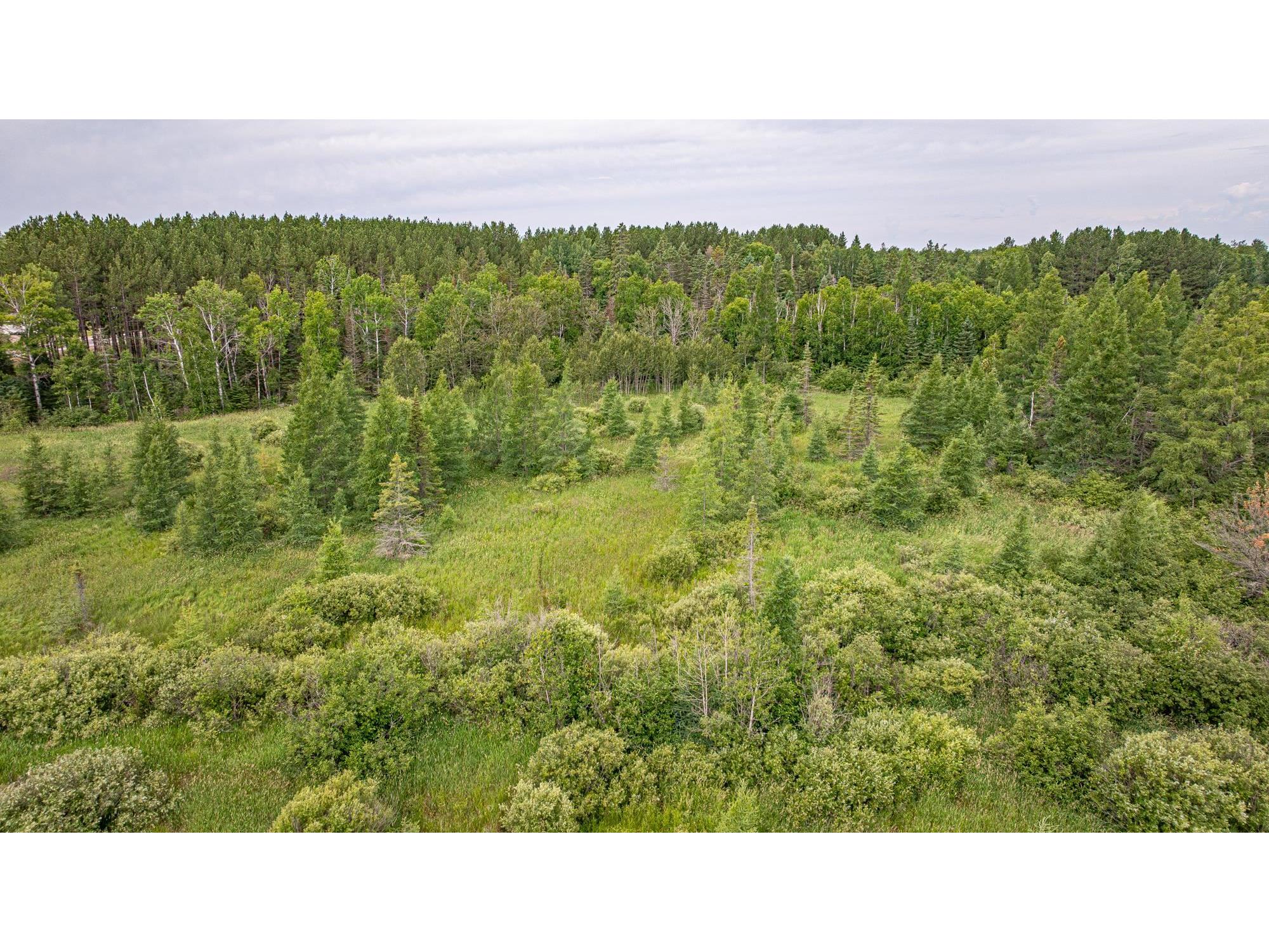 TBD Hwy 21 Babbitt MN 55706 6120690 image55