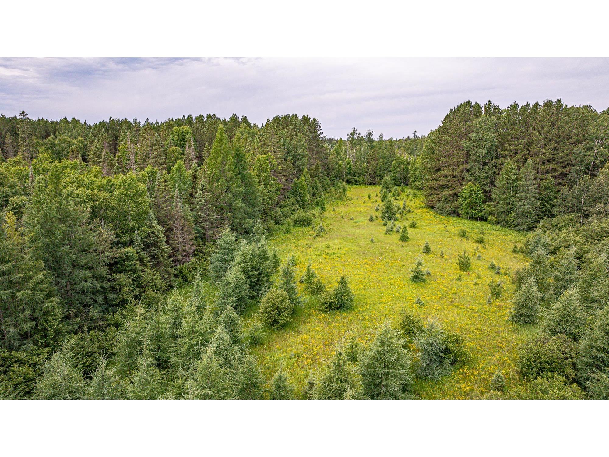 TBD Hwy 21 Babbitt MN 55706 6120690 image56