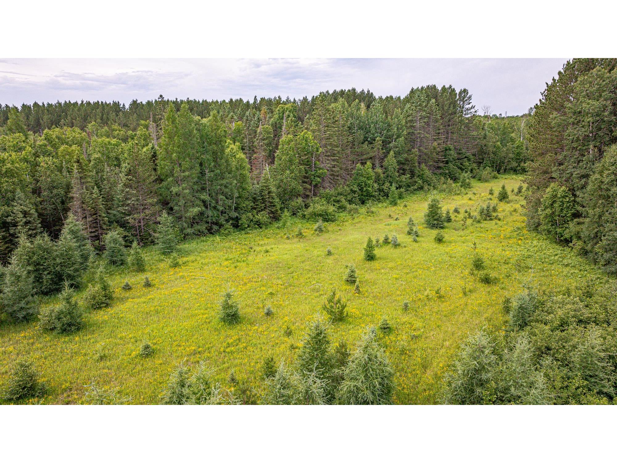 TBD Hwy 21 Babbitt MN 55706 6120690 image57