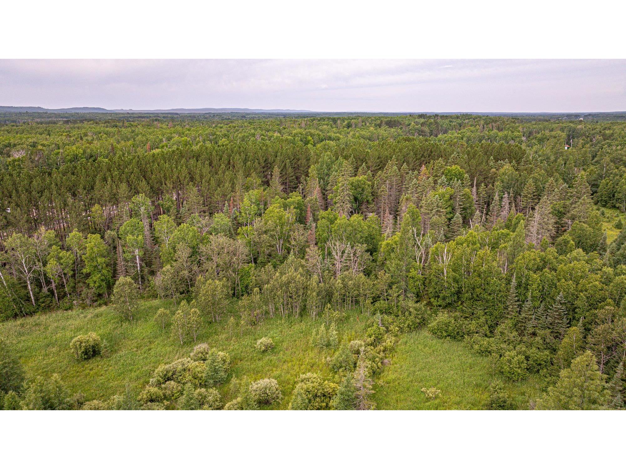 TBD Hwy 21 Babbitt MN 55706 6120690 image64