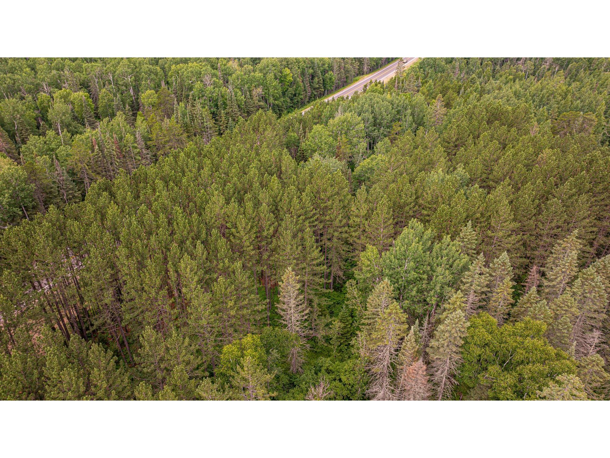 TBD Hwy 21 Babbitt MN 55706 6120690 image65