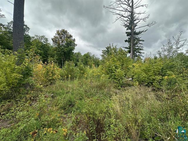 TBD Hwy 45 Cloquet MN 55720 6125416 image1