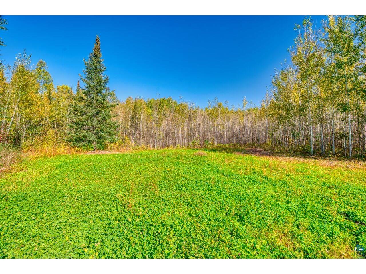 TBD Hwy 5 Hibbing MN 55746 6116351 image1