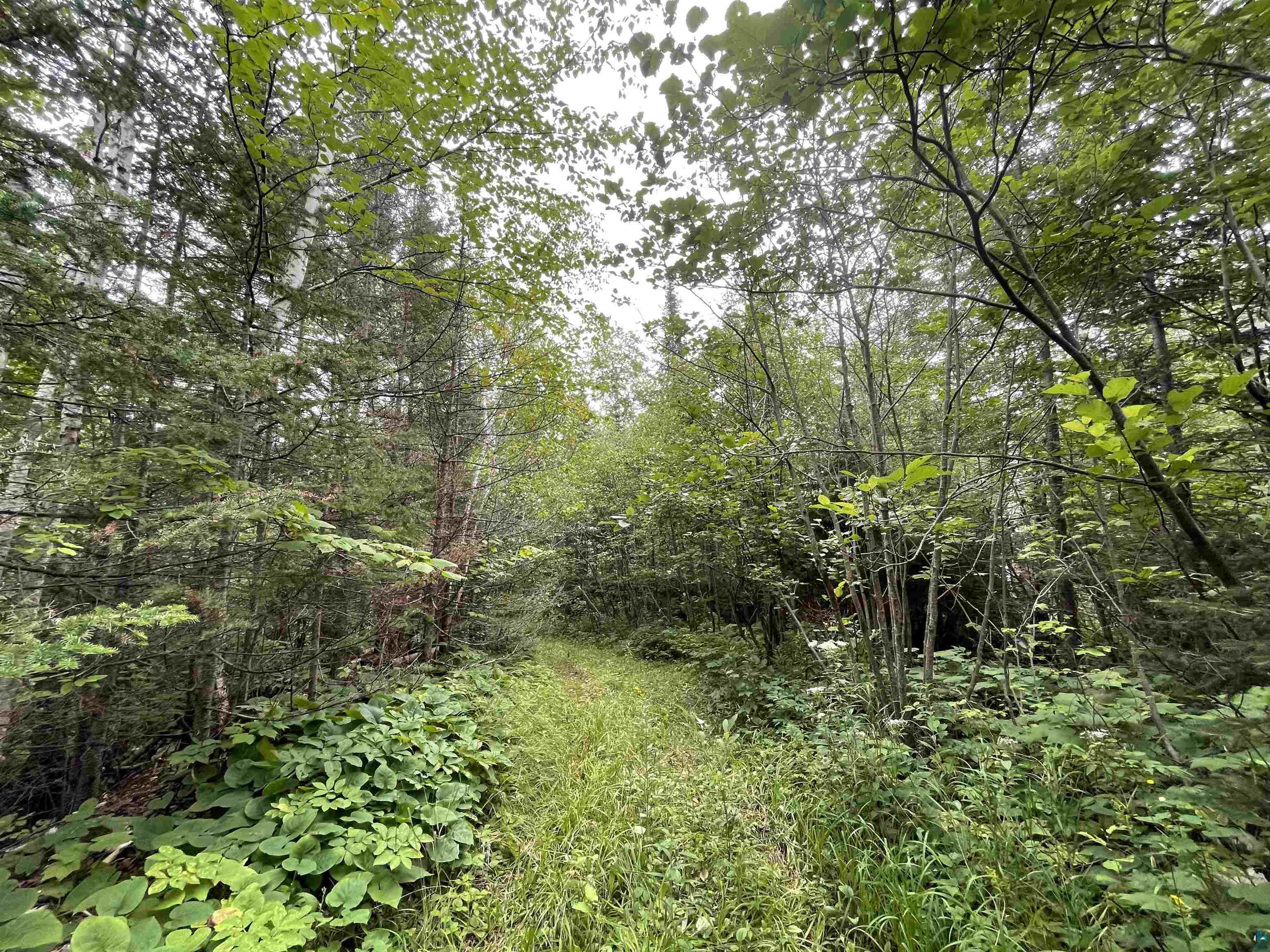 TBD Hwy 61 N Two Harbors MN 55616 6105209 image1