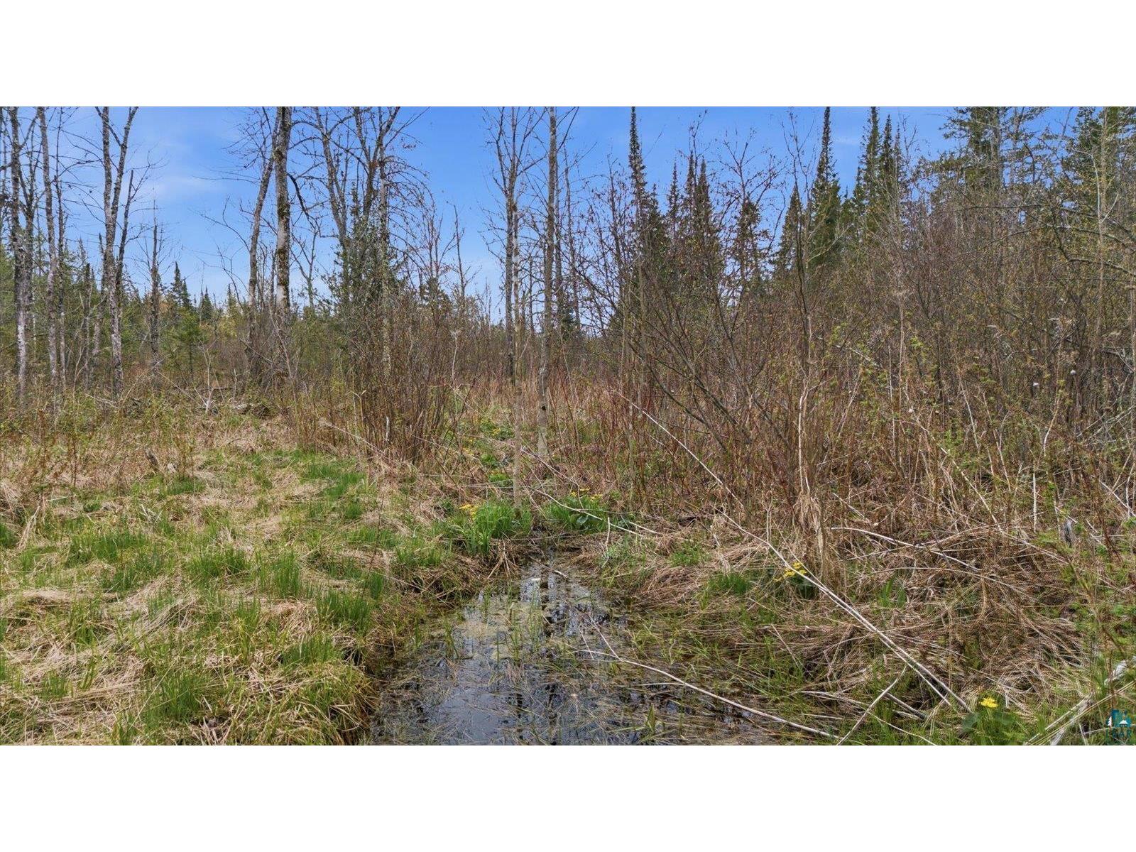 TBD Hwy 73 Floodwood MN 55736 6126246 image10