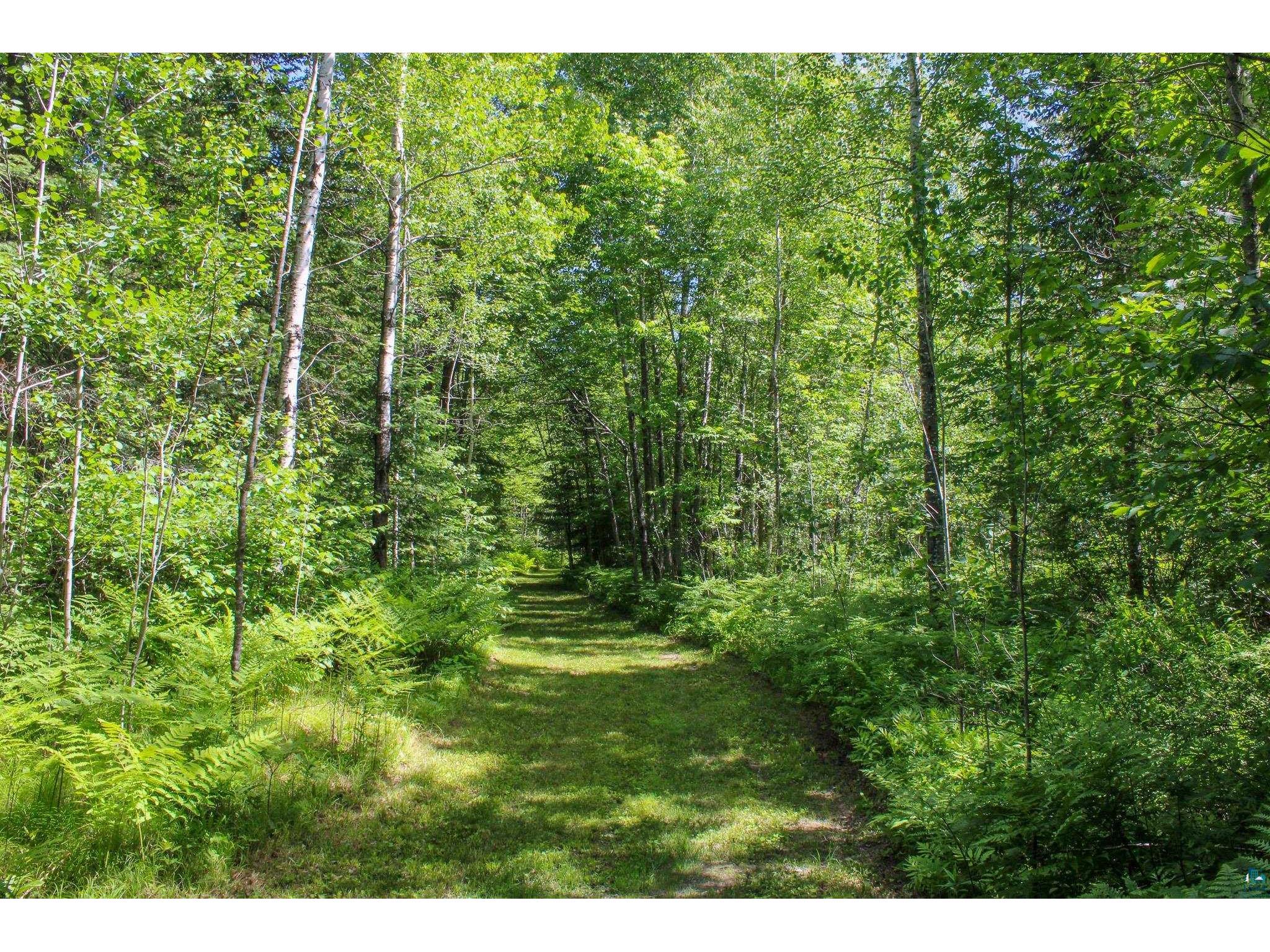 TBD Hwy 73 Floodwood MN 55736 6126246 image14