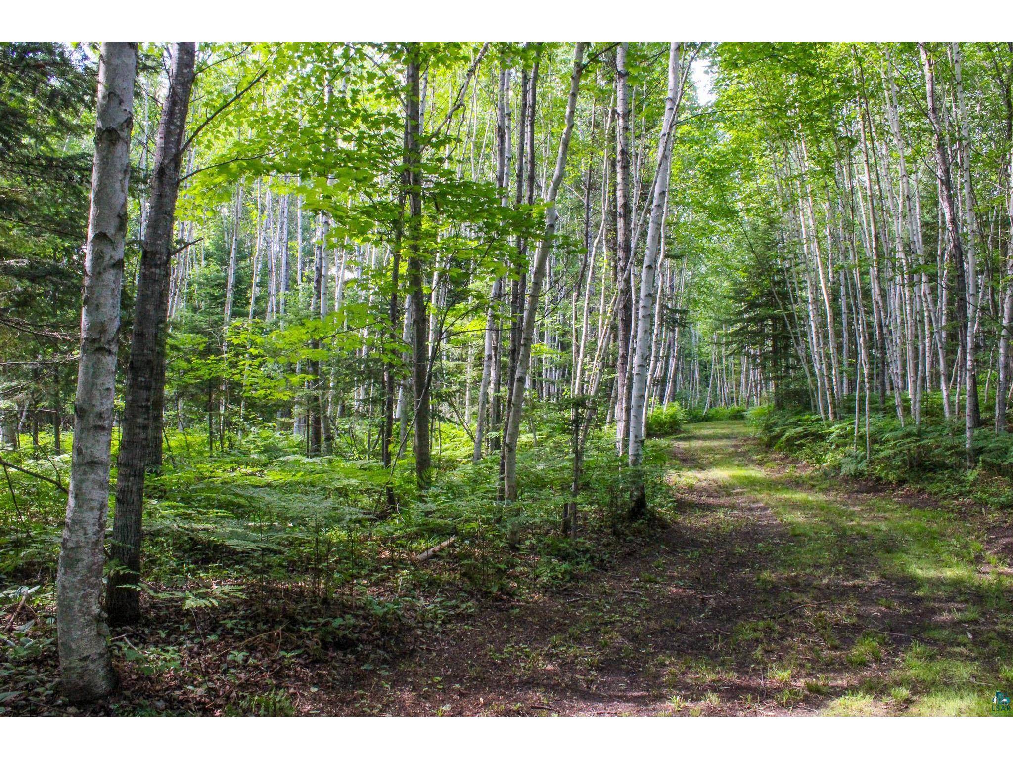 TBD Hwy 73 Floodwood MN 55736 6126246 image15