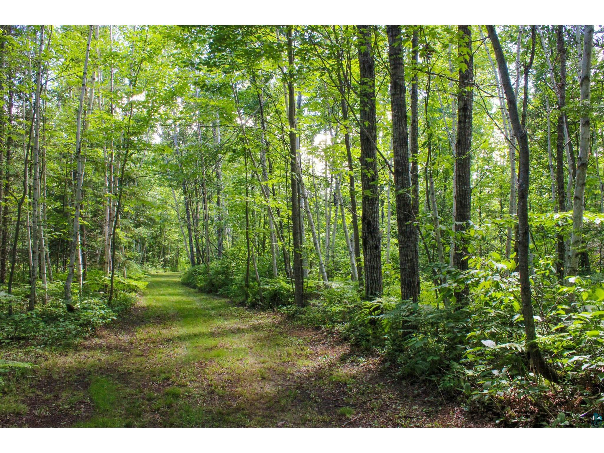 TBD Hwy 73 Floodwood MN 55736 6126246 image4