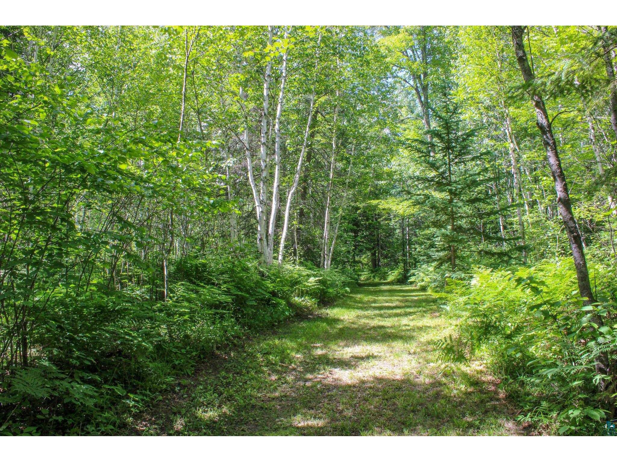 TBD Hwy 73 Floodwood MN 55736 6126246 image6