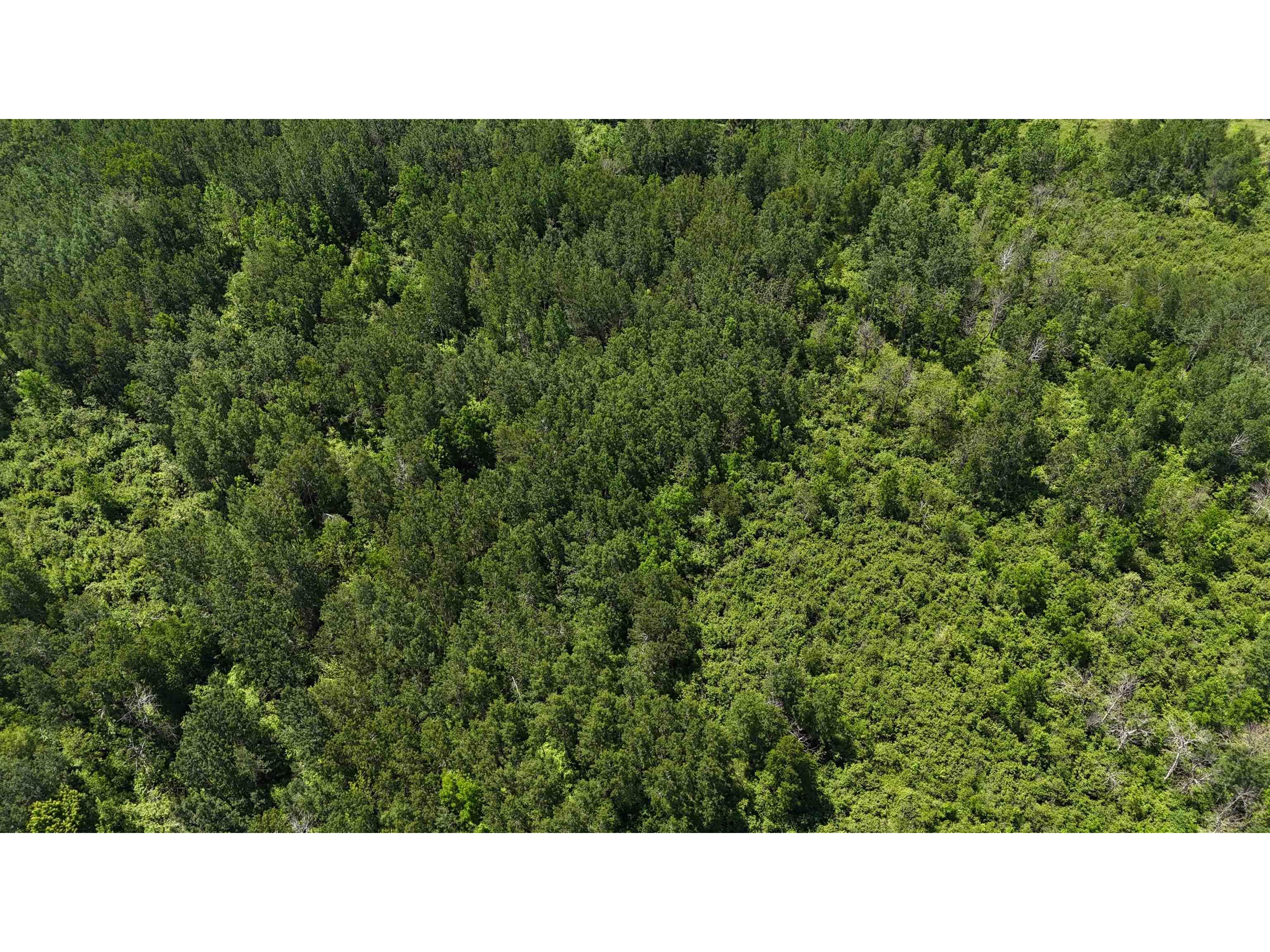 TBD Irondale Rd Superior WI 54880 6122483 image10