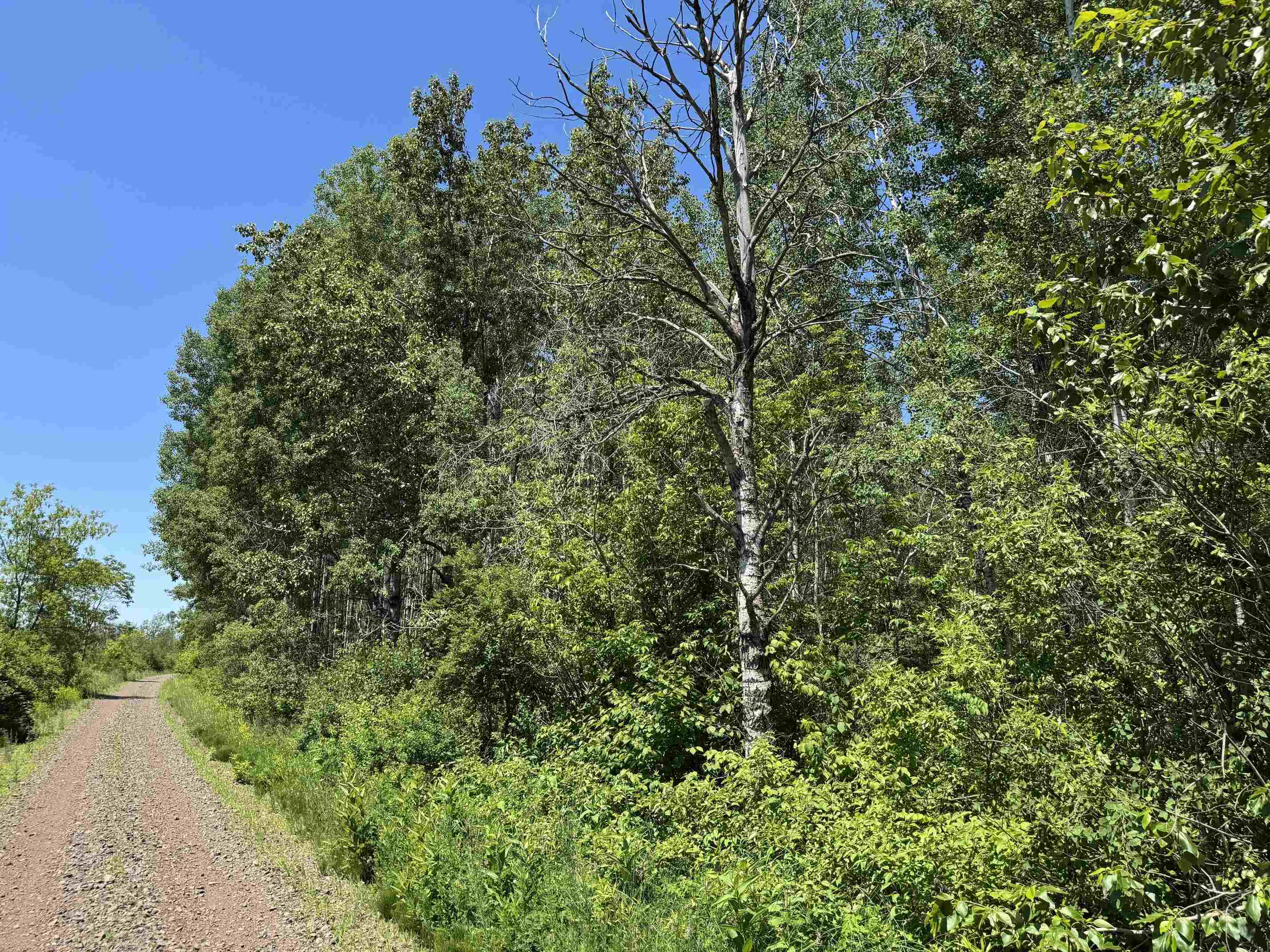 TBD Irondale Rd Superior WI 54880 6122483 image3