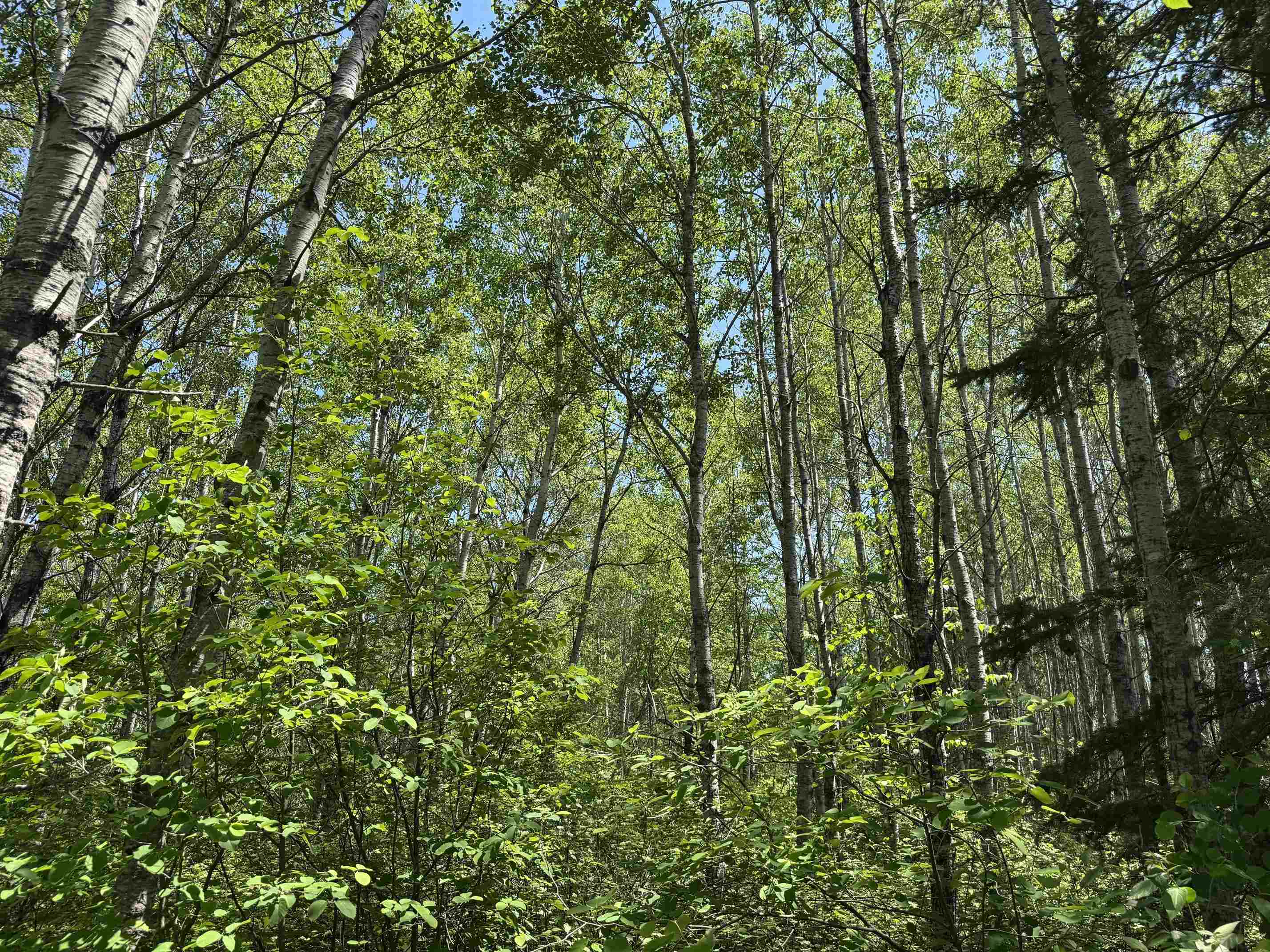 TBD Irondale Rd Superior WI 54880 6122483 image6