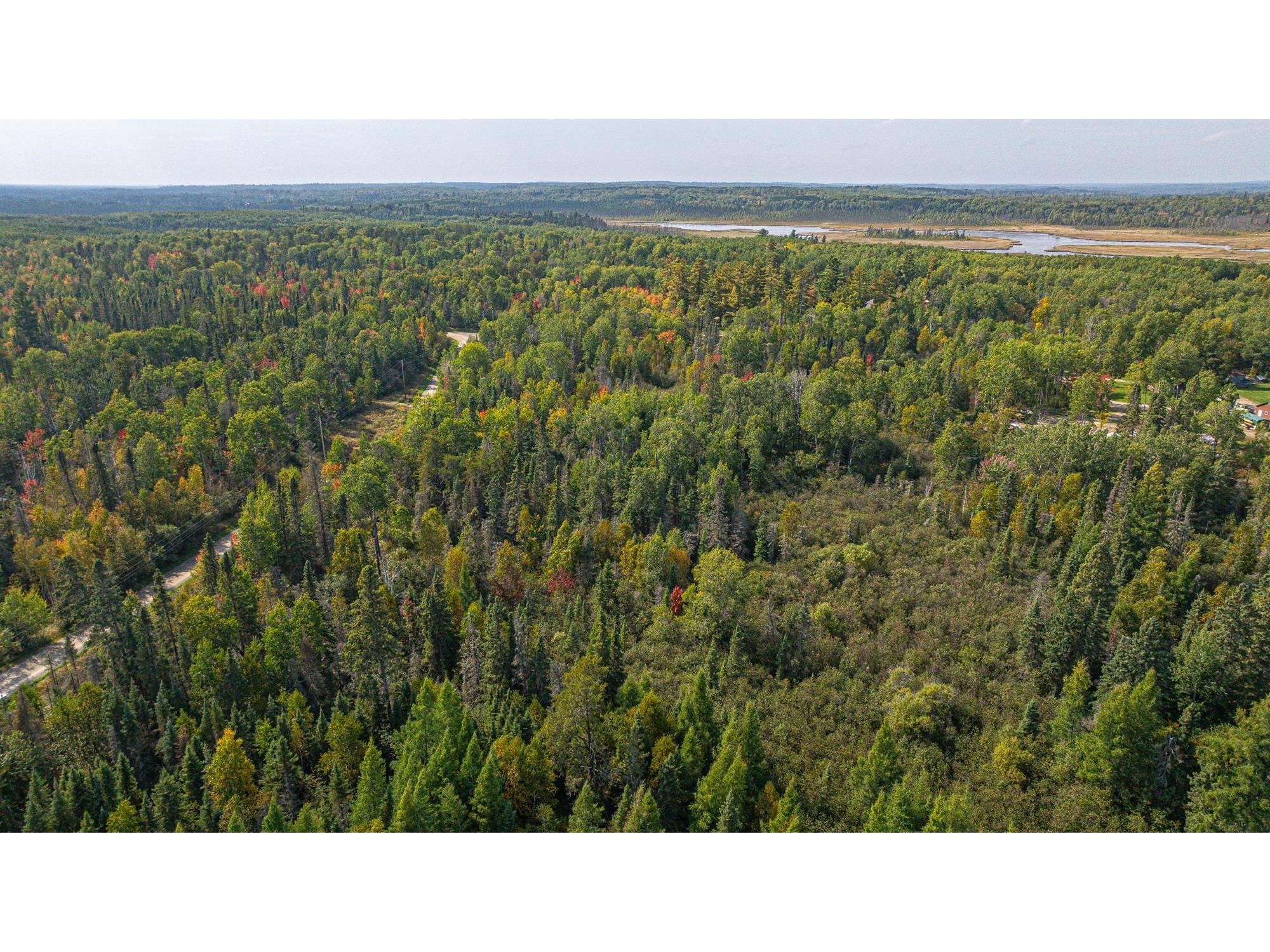 TBD Johnson Creek Dr Ely MN 55731 6122010 image10