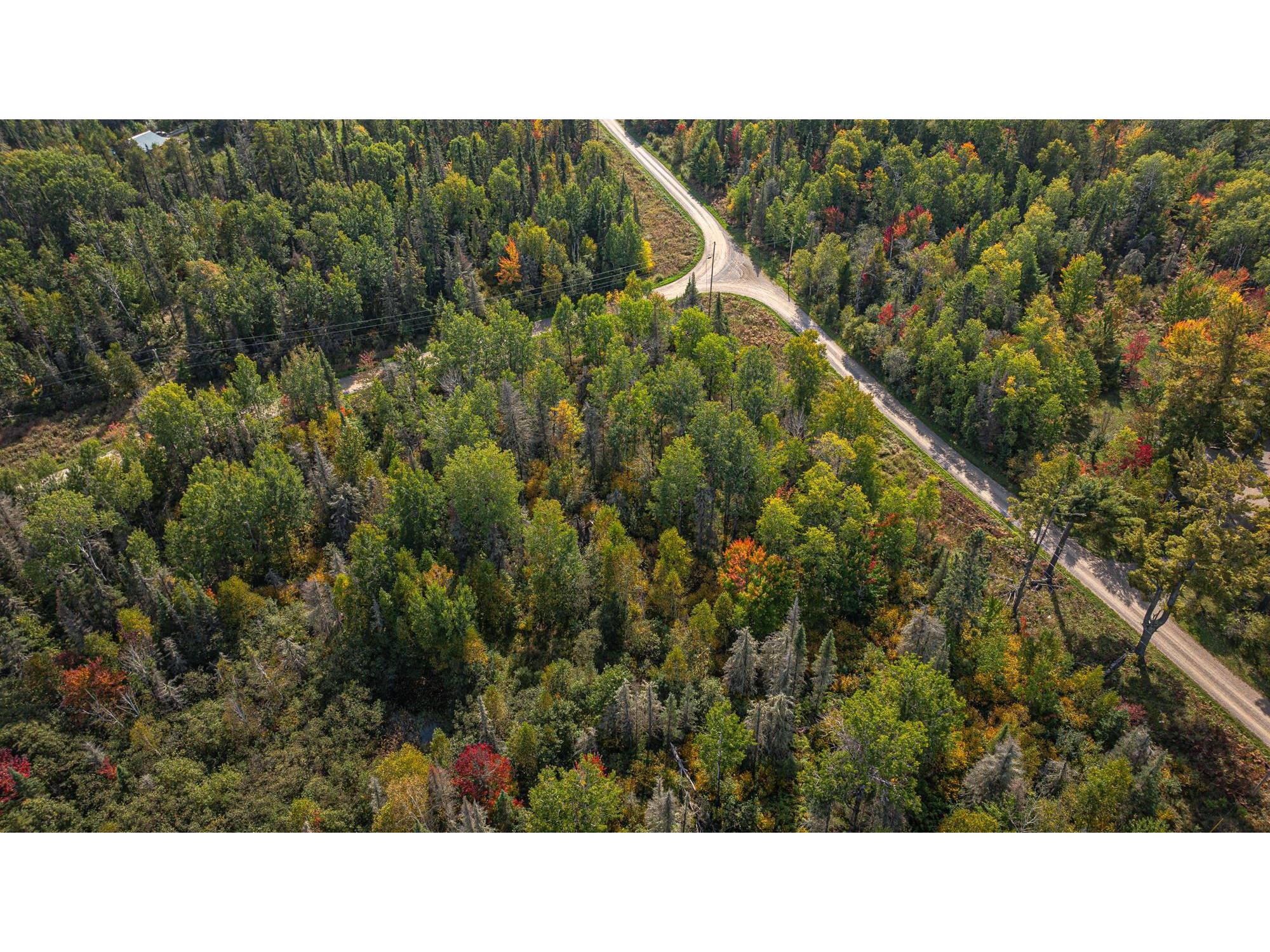 TBD Johnson Creek Dr Ely MN 55731 6122010 image13