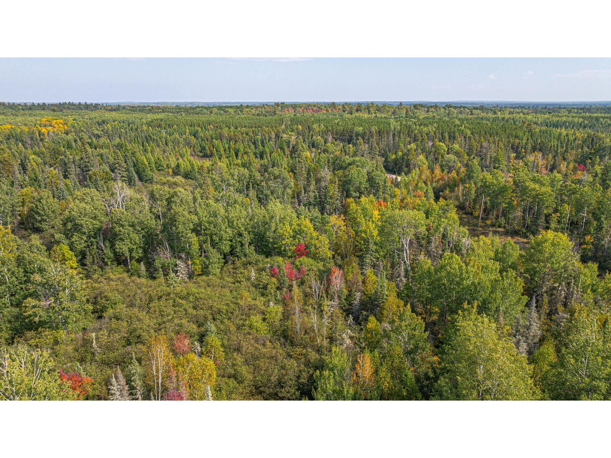 TBD Johnson Creek Dr Ely MN 55731 6122010 image18