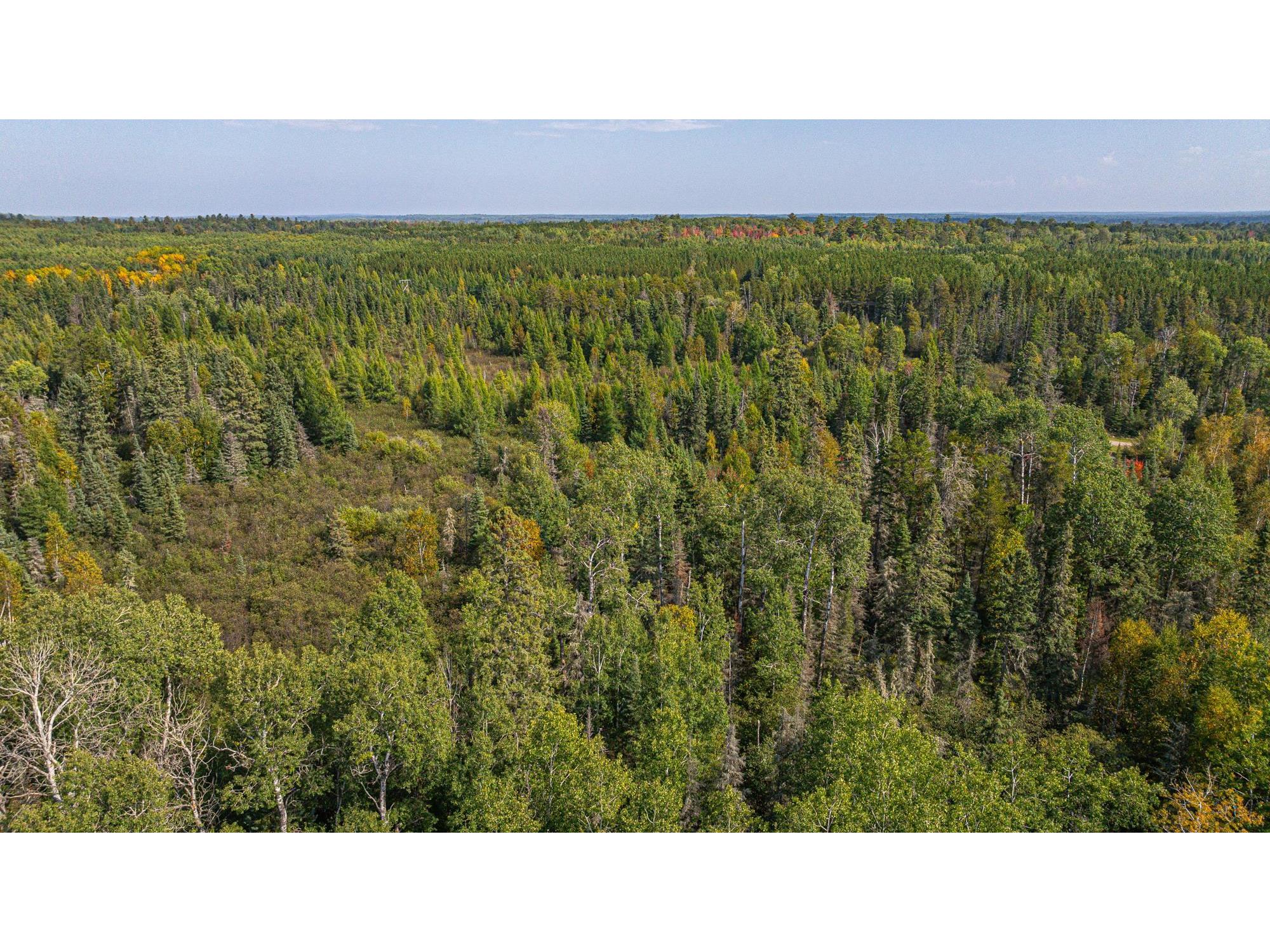 TBD Johnson Creek Dr Ely MN 55731 6122010 image20