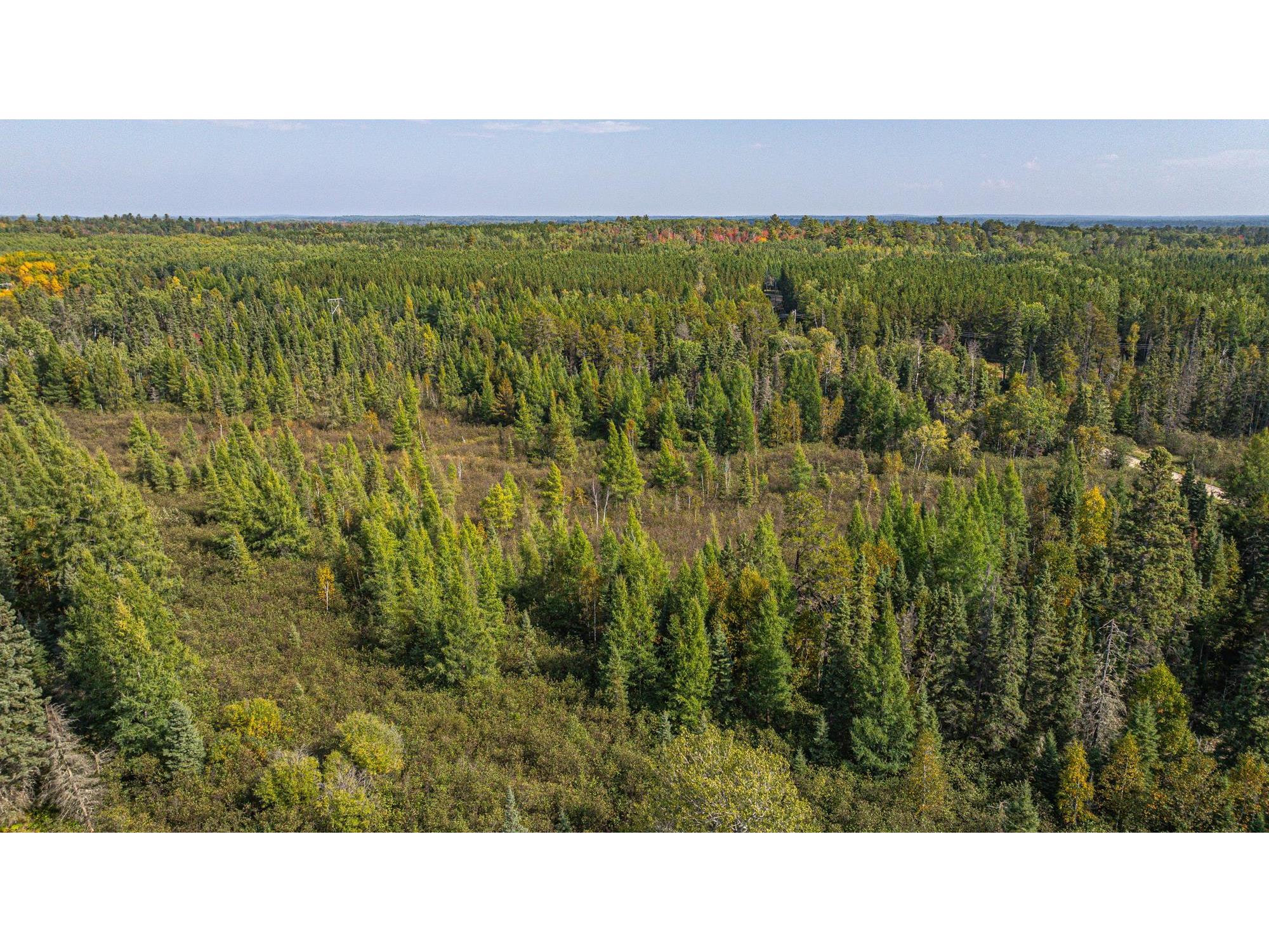 TBD Johnson Creek Dr Ely MN 55731 6122010 image22