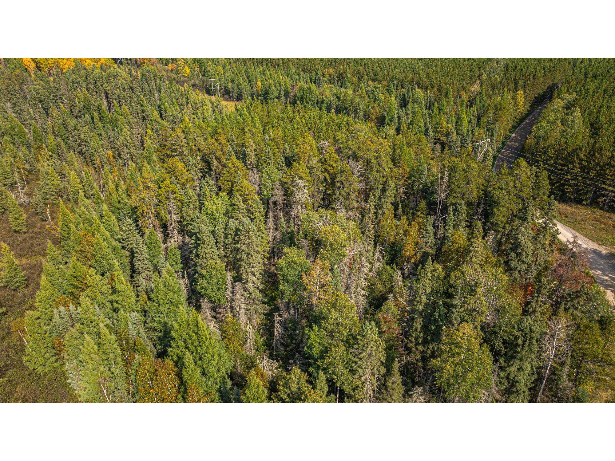 TBD Johnson Creek Dr Ely MN 55731 6122010 image24