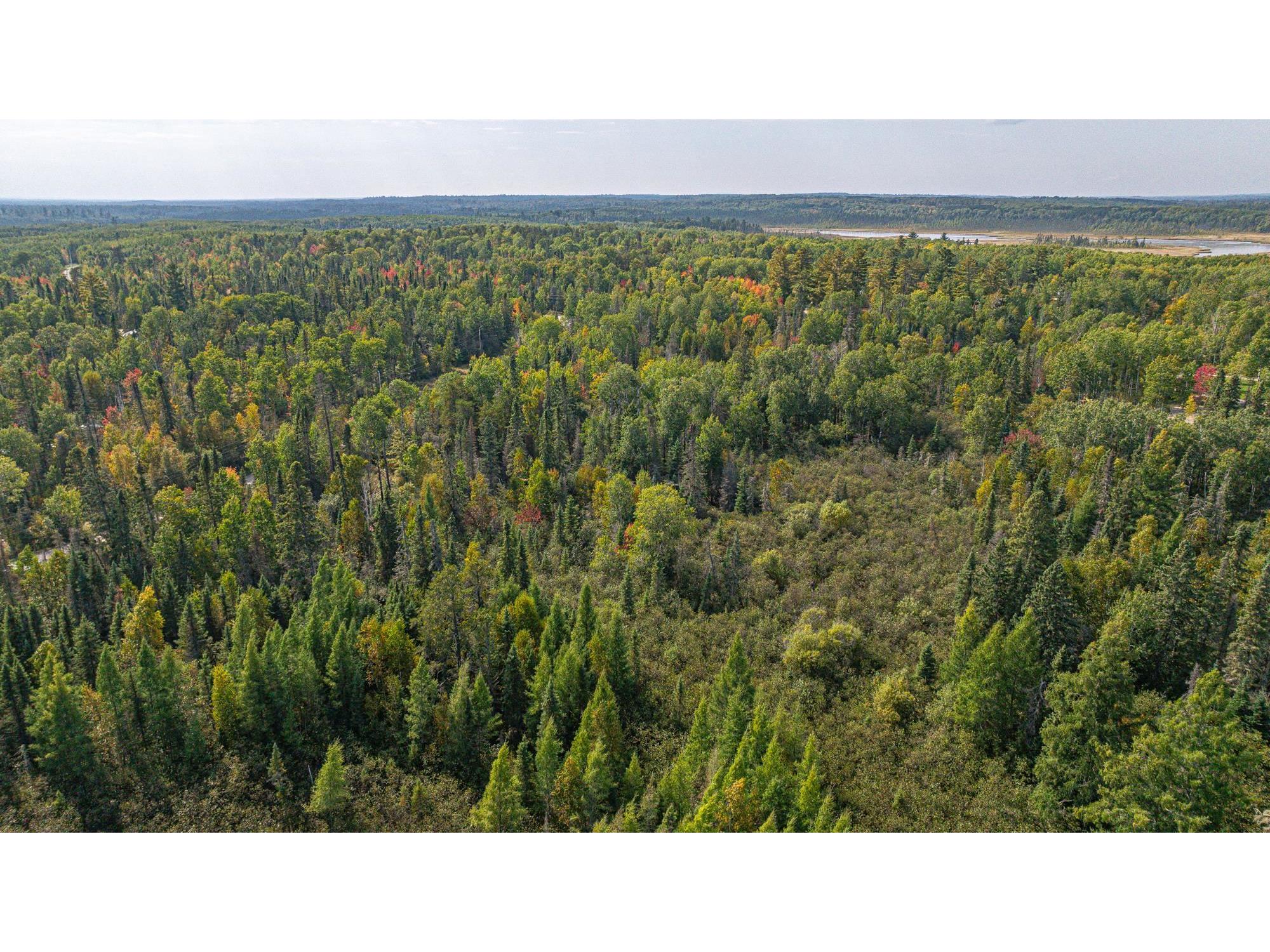 TBD Johnson Creek Dr Ely MN 55731 6122010 image28