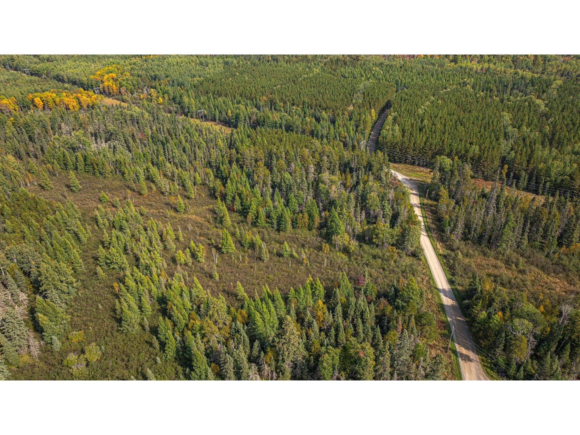 TBD Johnson Creek Dr Ely MN 55731 6122010 image33