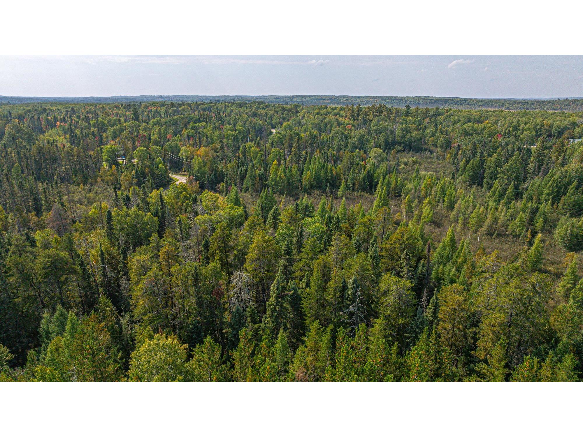 TBD Johnson Creek Dr Ely MN 55731 6122010 image7