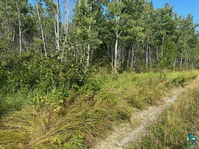 TBD Karjala Road Tower MN 55790 6110542 image1