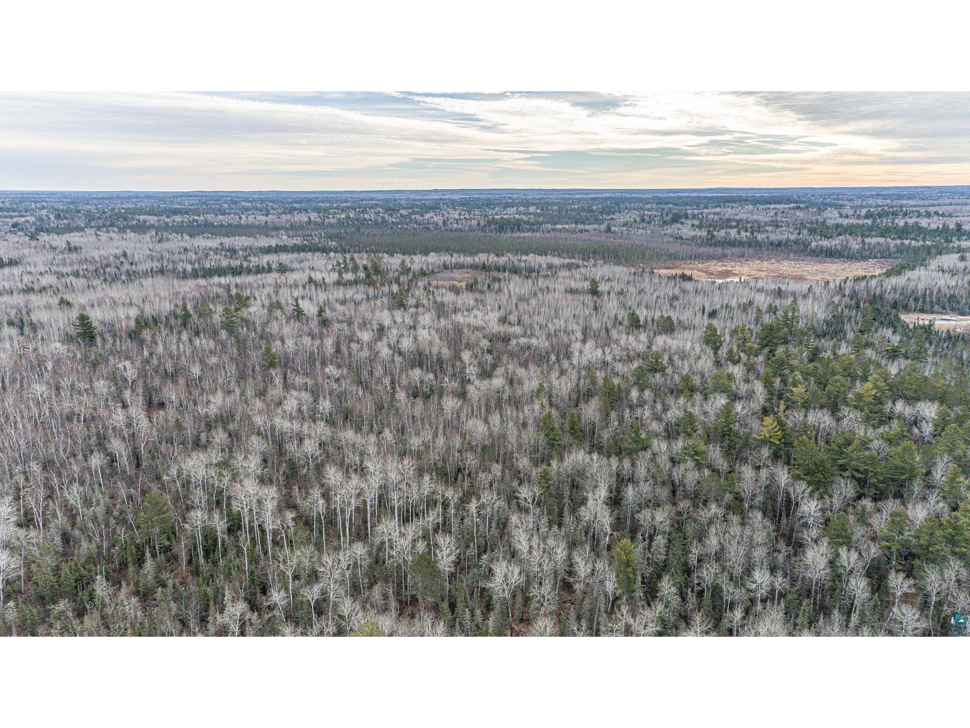 TBD Kawishiwi Tr Ely MN 55731 6111533 image1