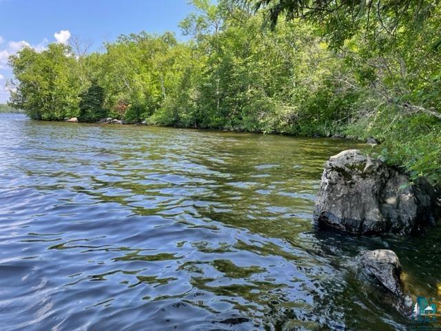 TBD Lake Vermilion Island Tower MN 55790 - Vermilion 6108946 image1