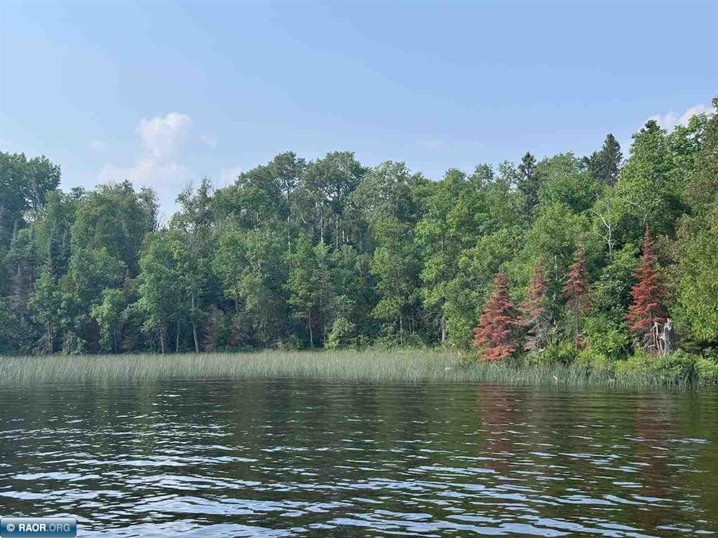 TBD Lake Vermilion North Tower MN 55790 - Vermilion 6120849 image3