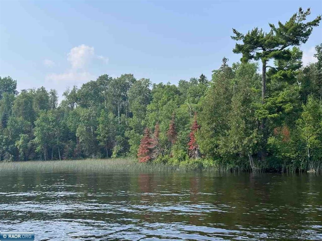 TBD Lake Vermilion North Tower MN 55790 - Vermilion 6120849 image4