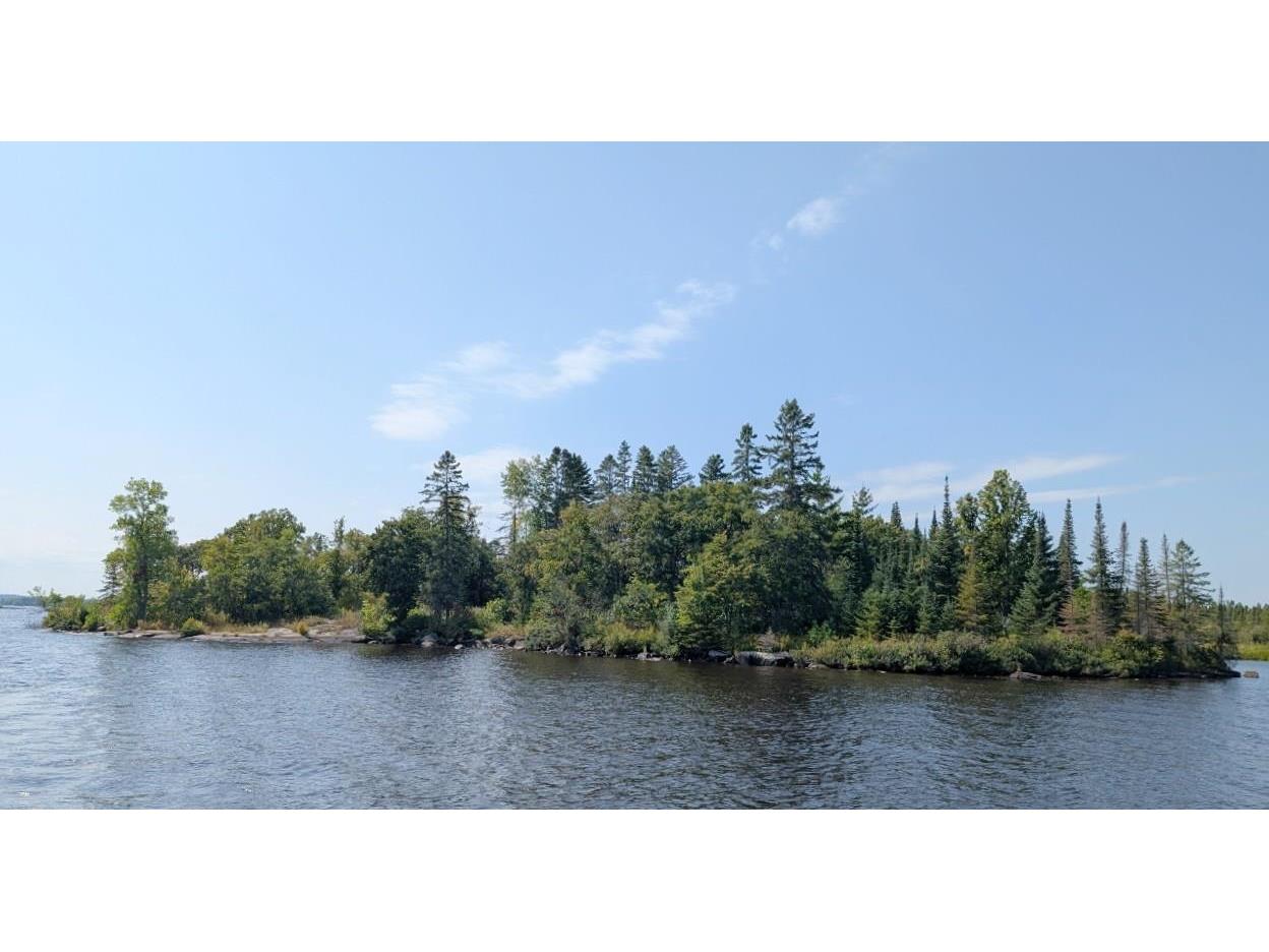 TBD Lake Vermilion Tower MN 55790 - Vermilion 6121672 image1